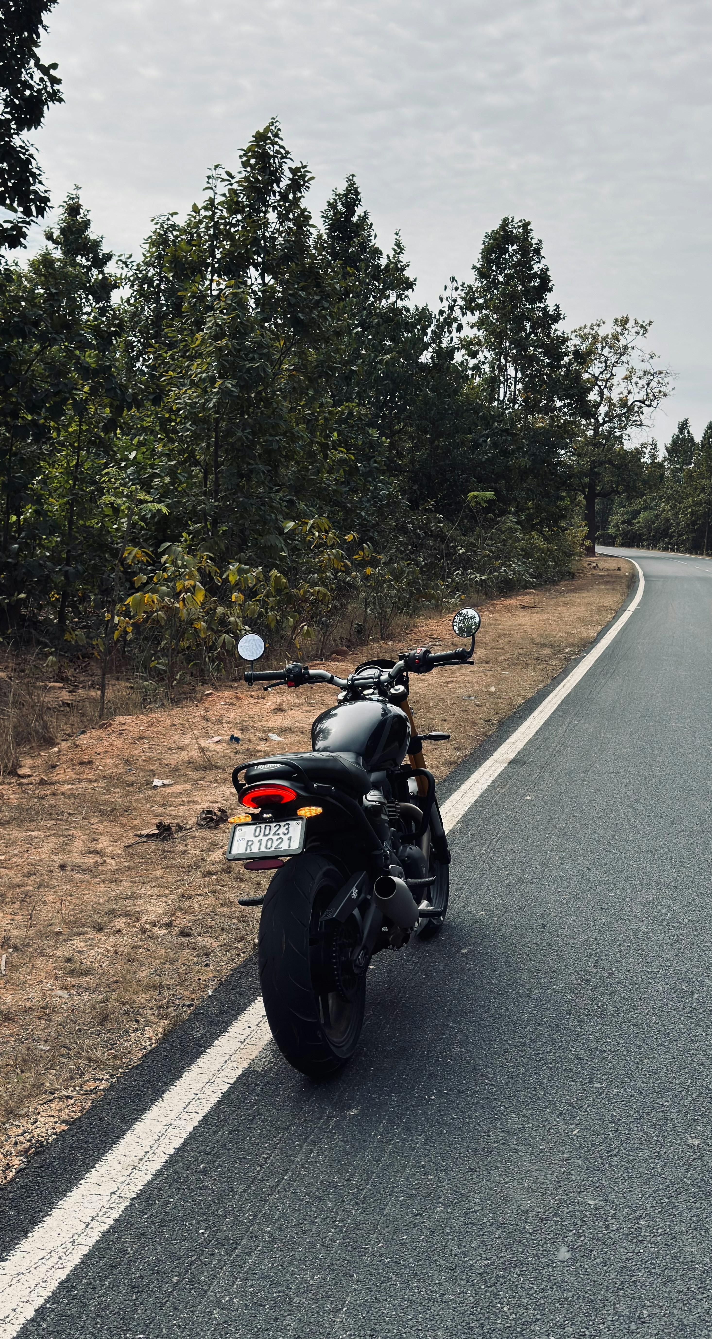Bike rear