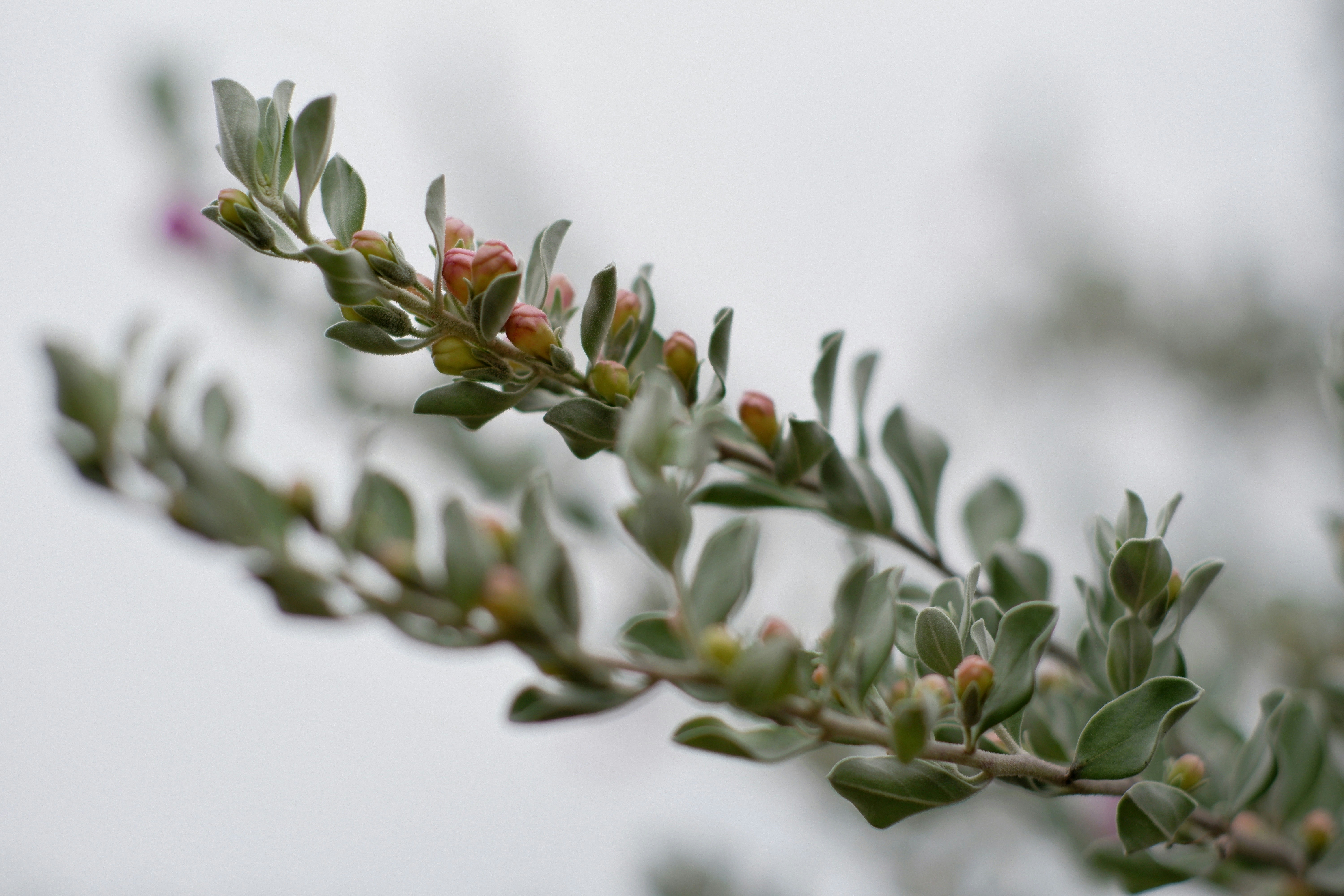 Photo by hanomy