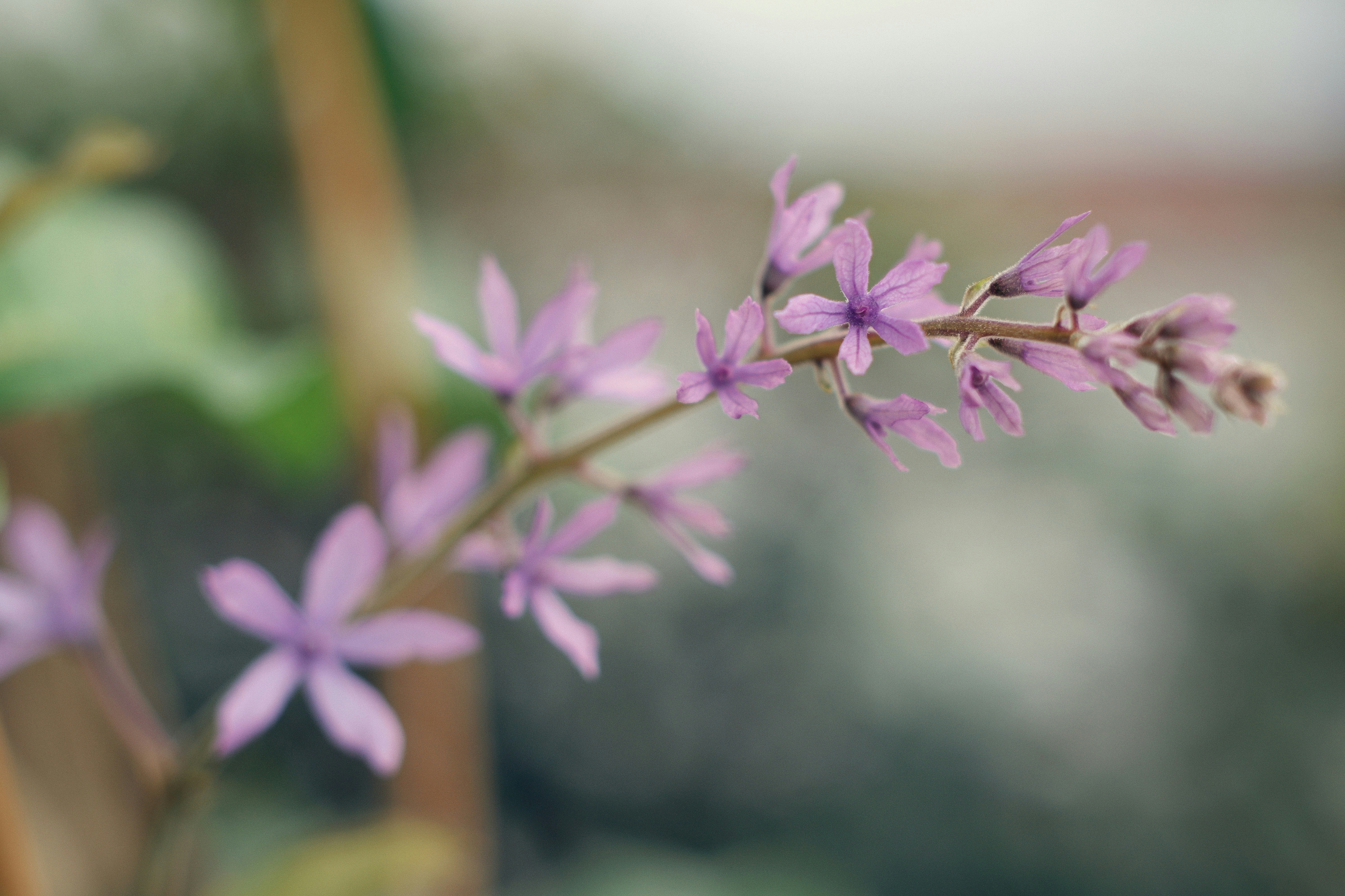 Photo by hanomy