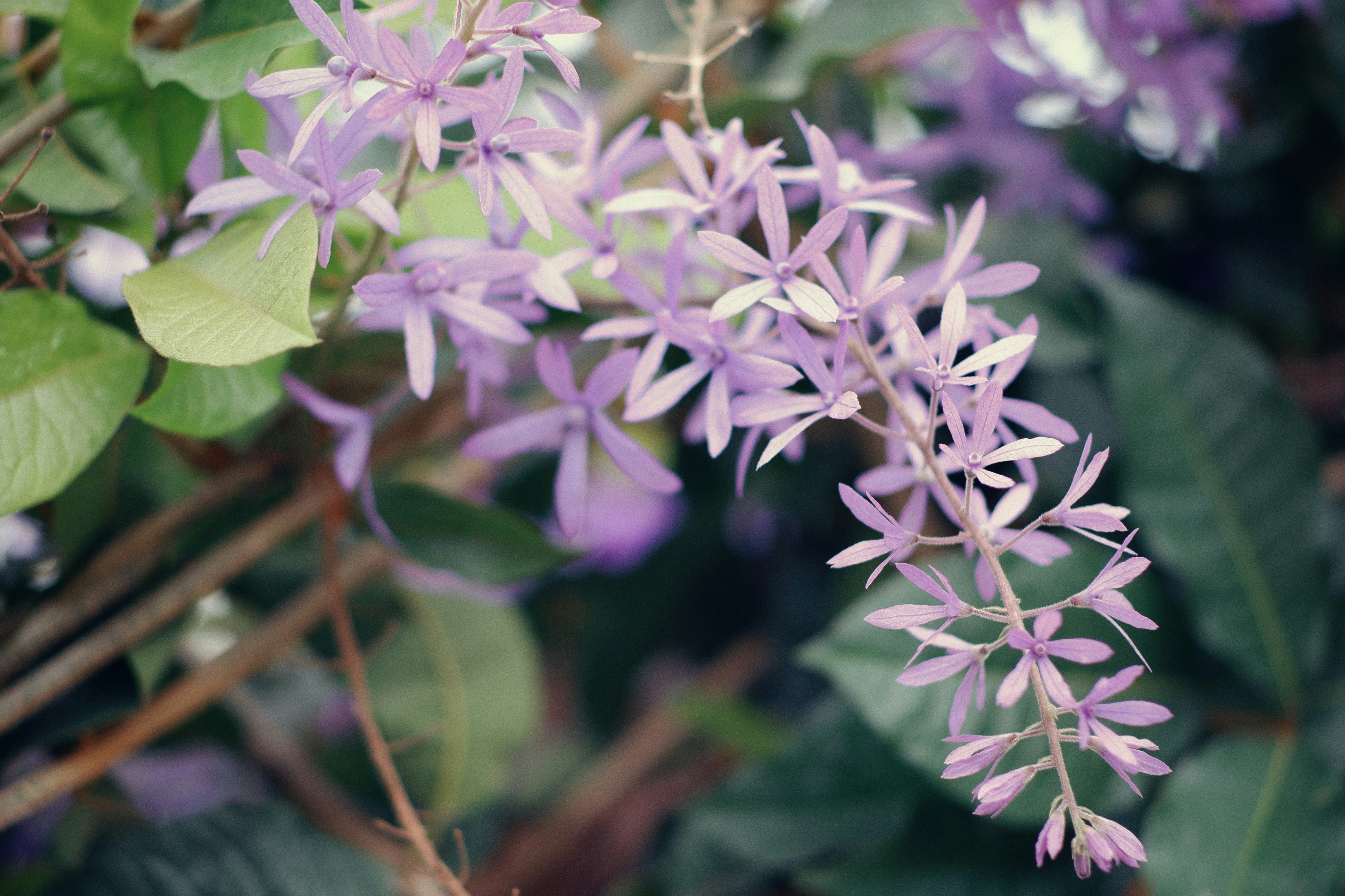 Photo by hanomy