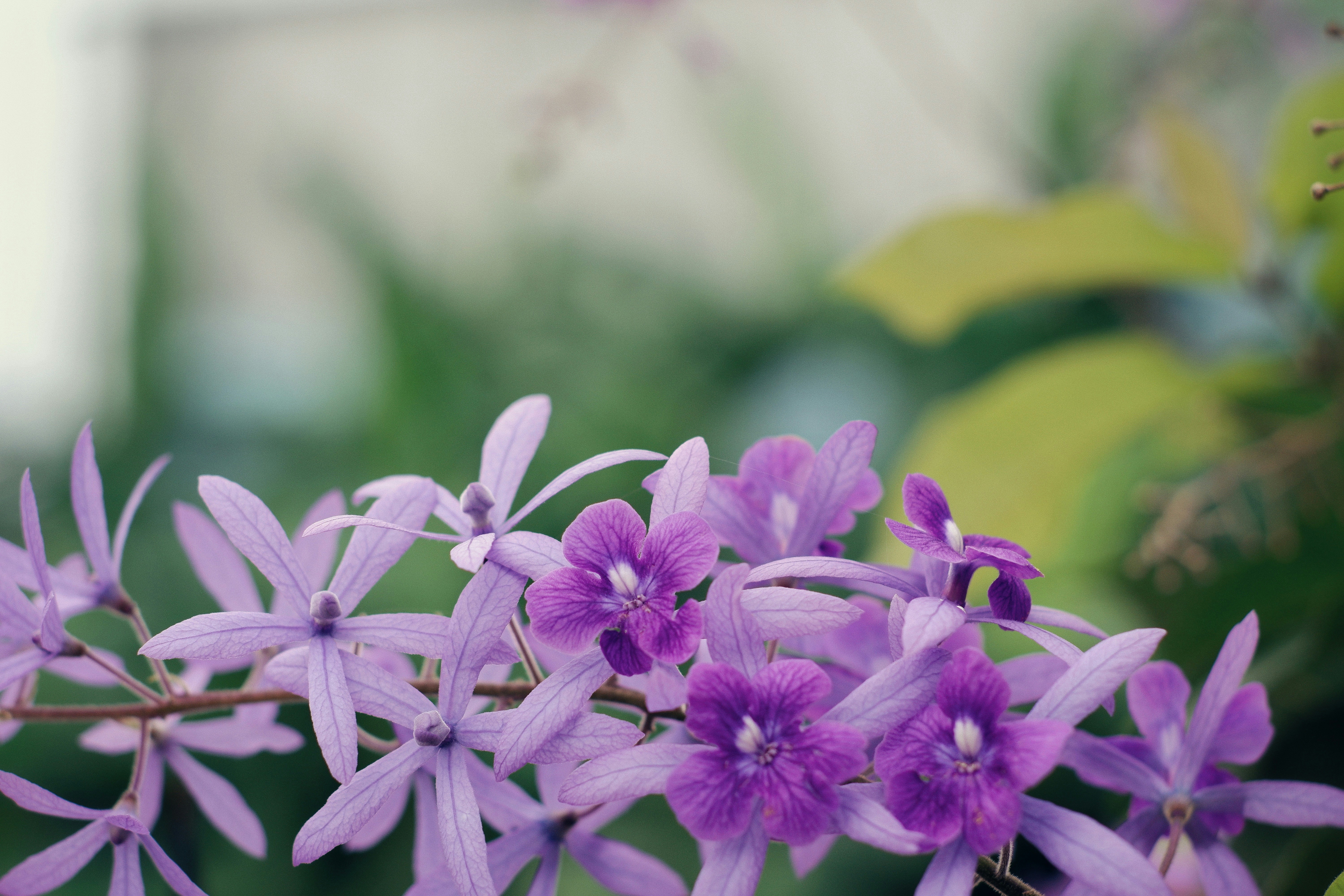 Photo by hanomy