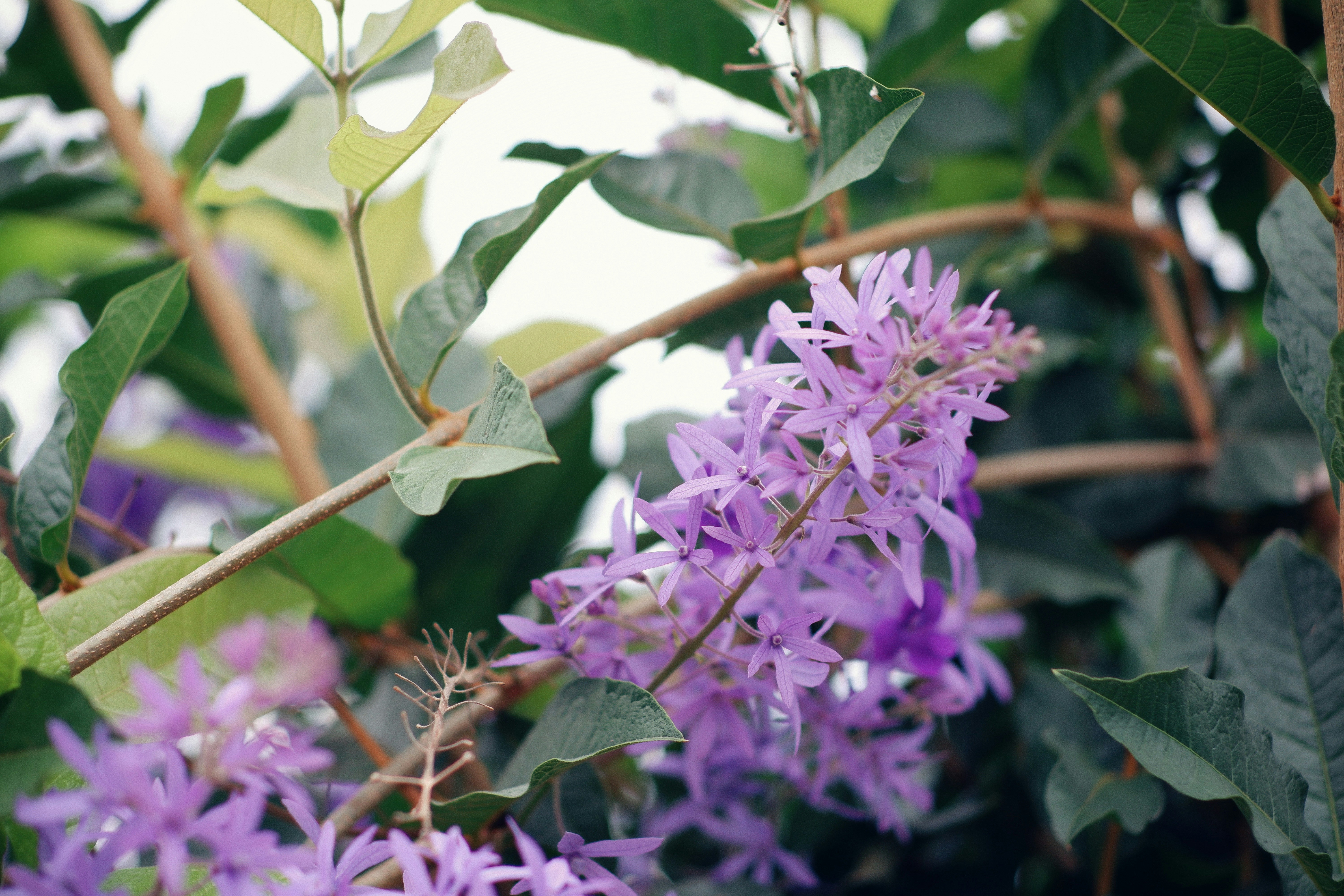 Photo by hanomy