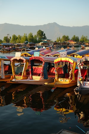 A view of Srinagar's houses and lake — the grounded, working reality of Kashmir