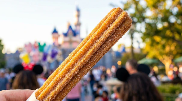 A churro held against a blurred castle and theme park.