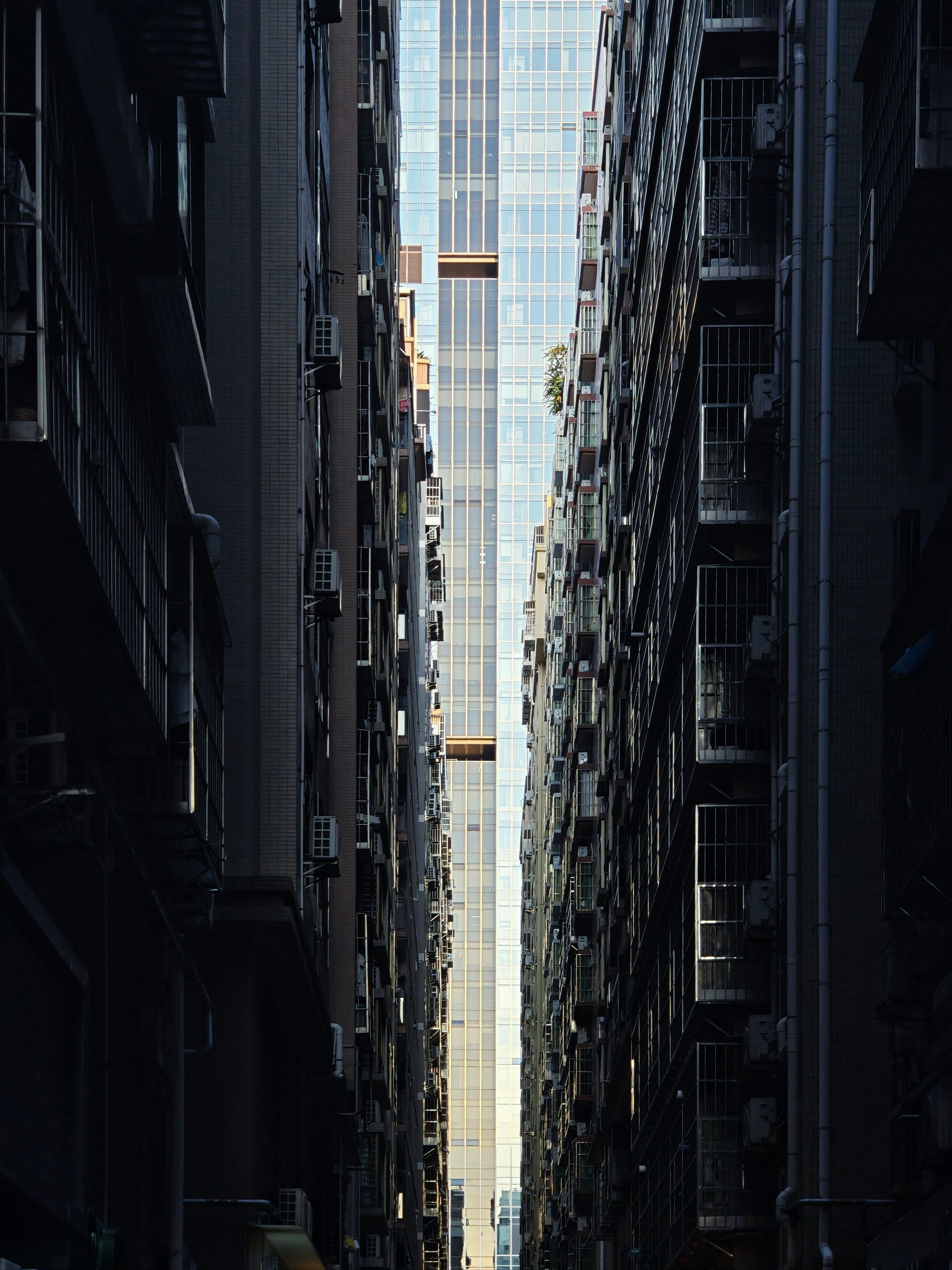 Photo by jackpaul