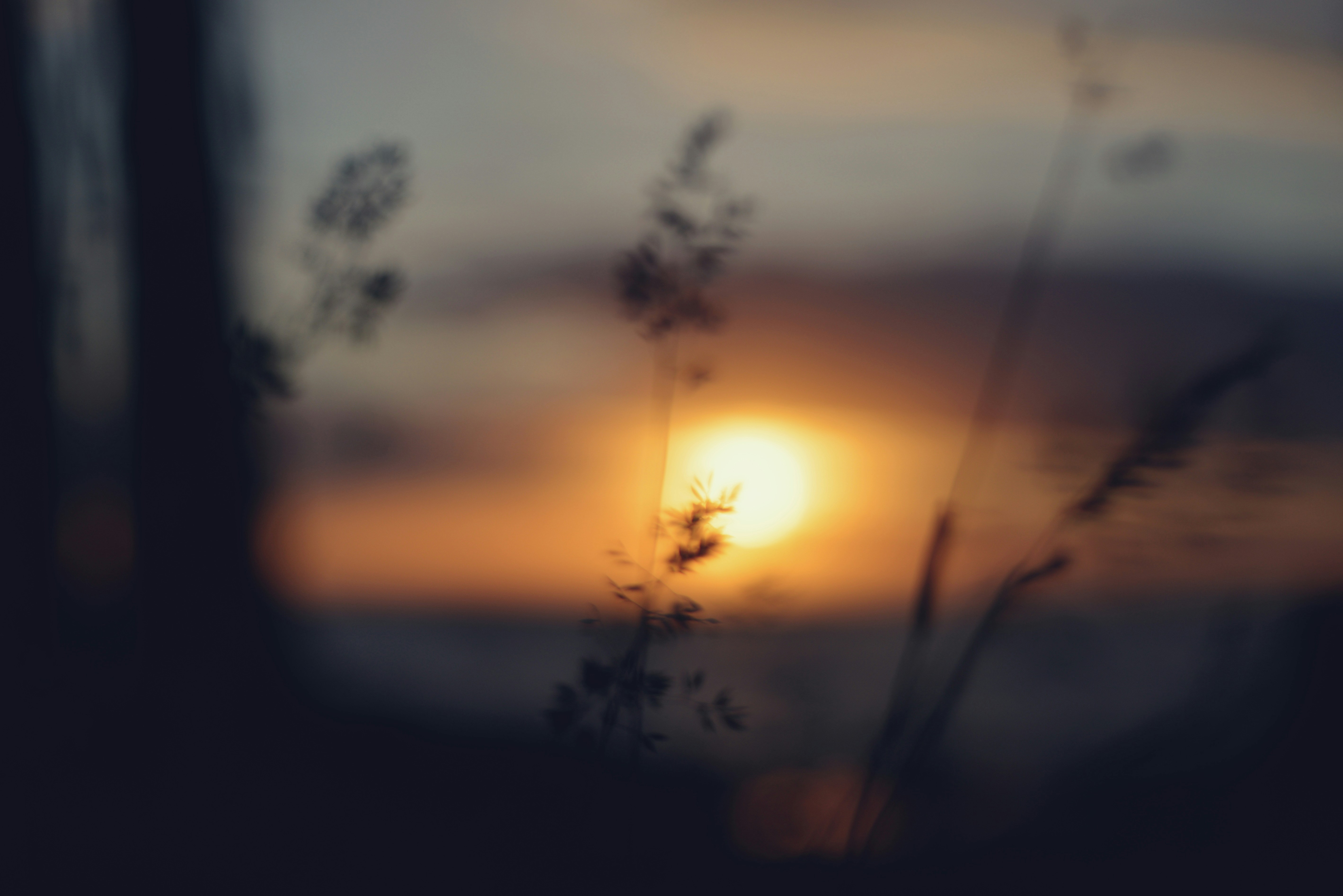 Photo by cherstve_pechivo