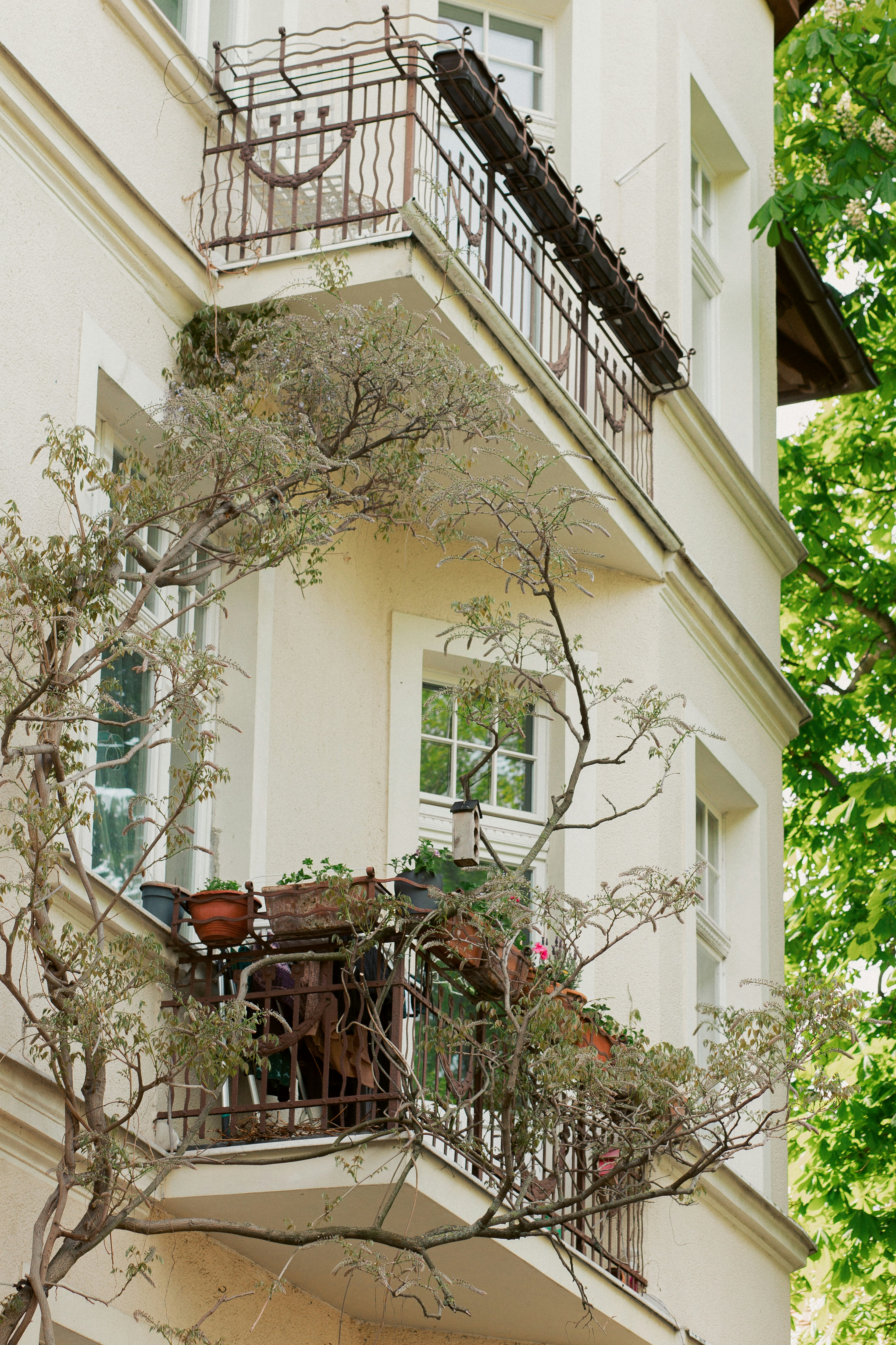A white building with balconies and climbing plants. photo  Free Building  Image on Unsplash