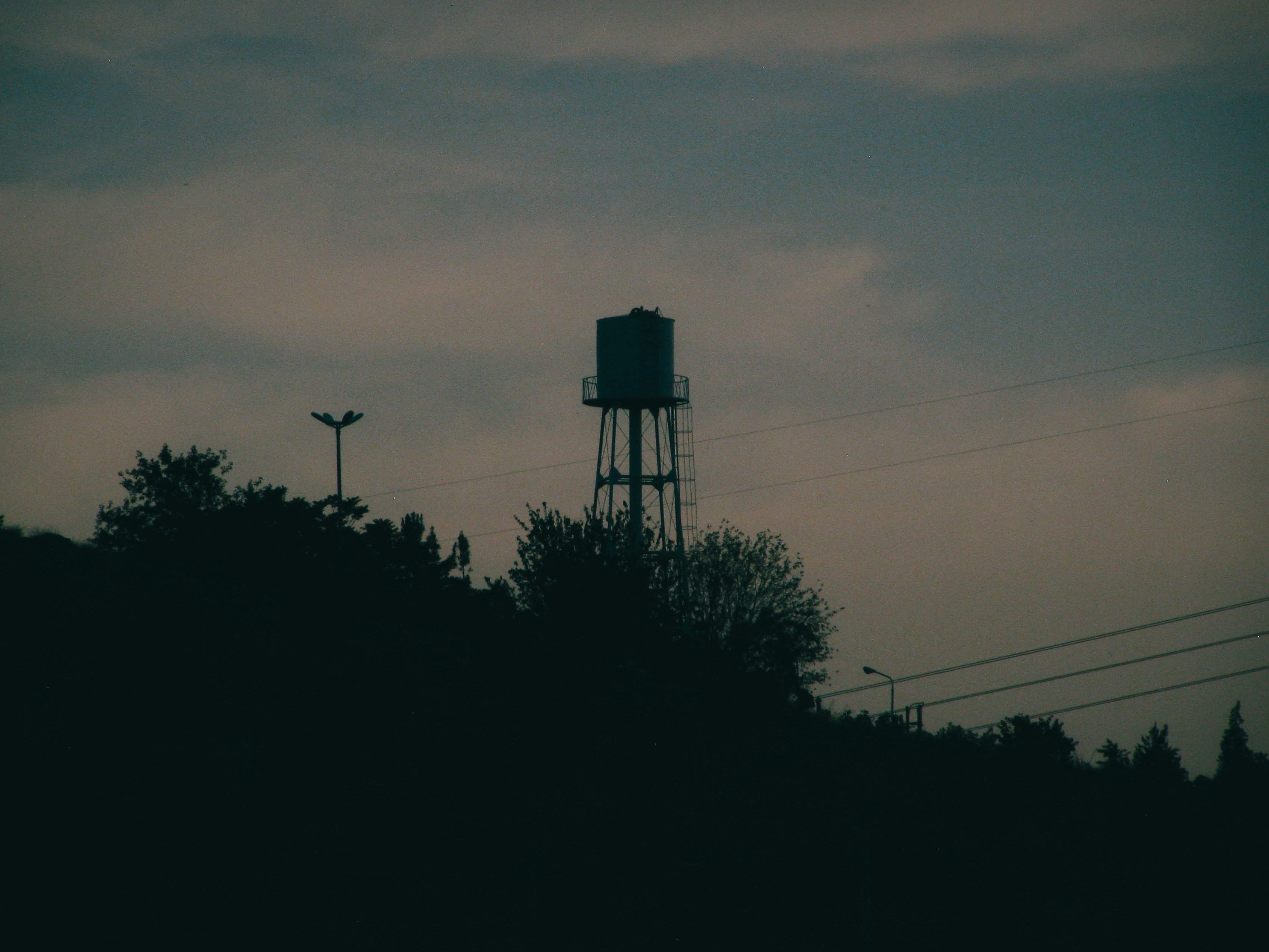 Photo by a_tqv