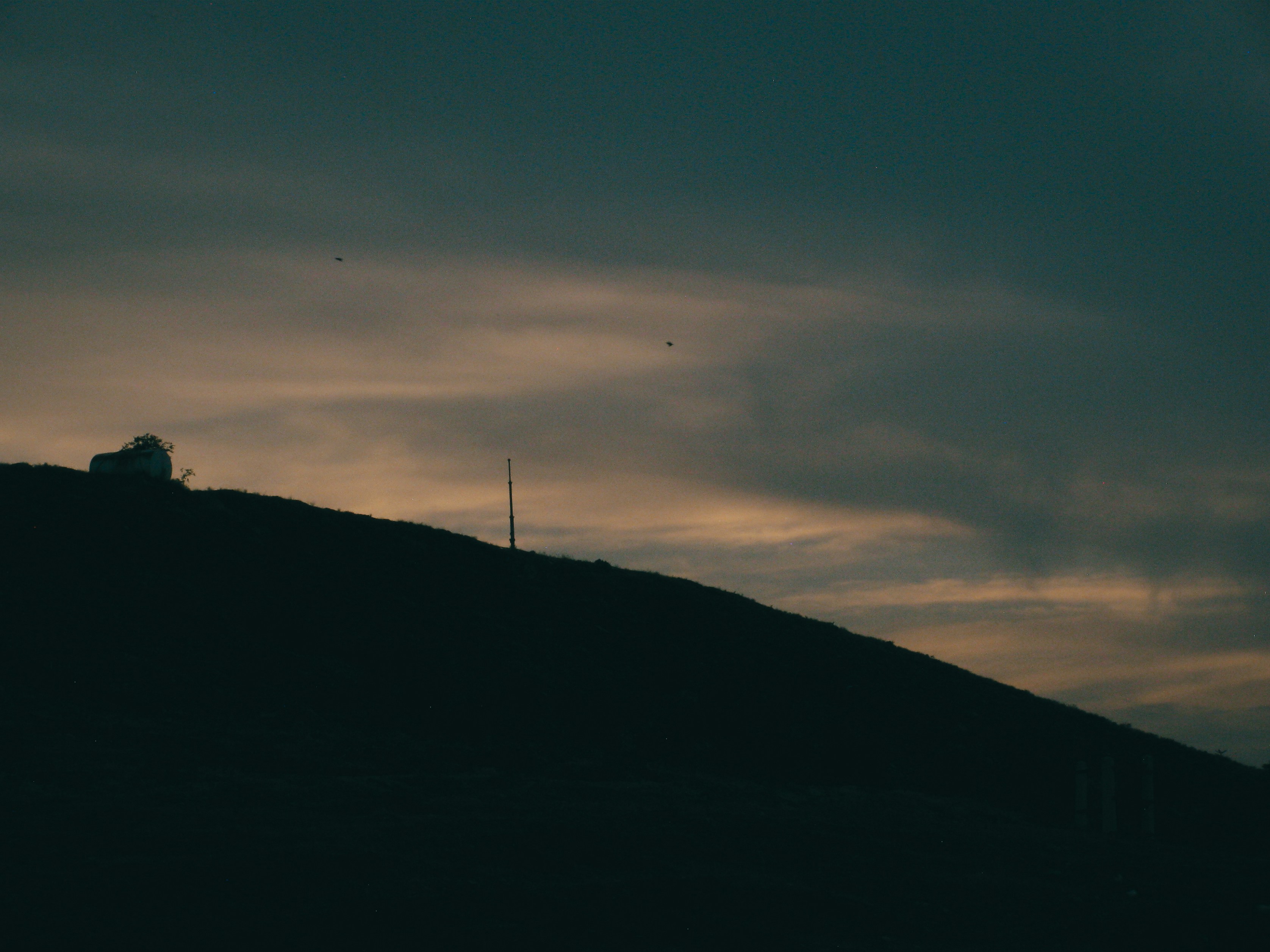 Photo by a_tqv