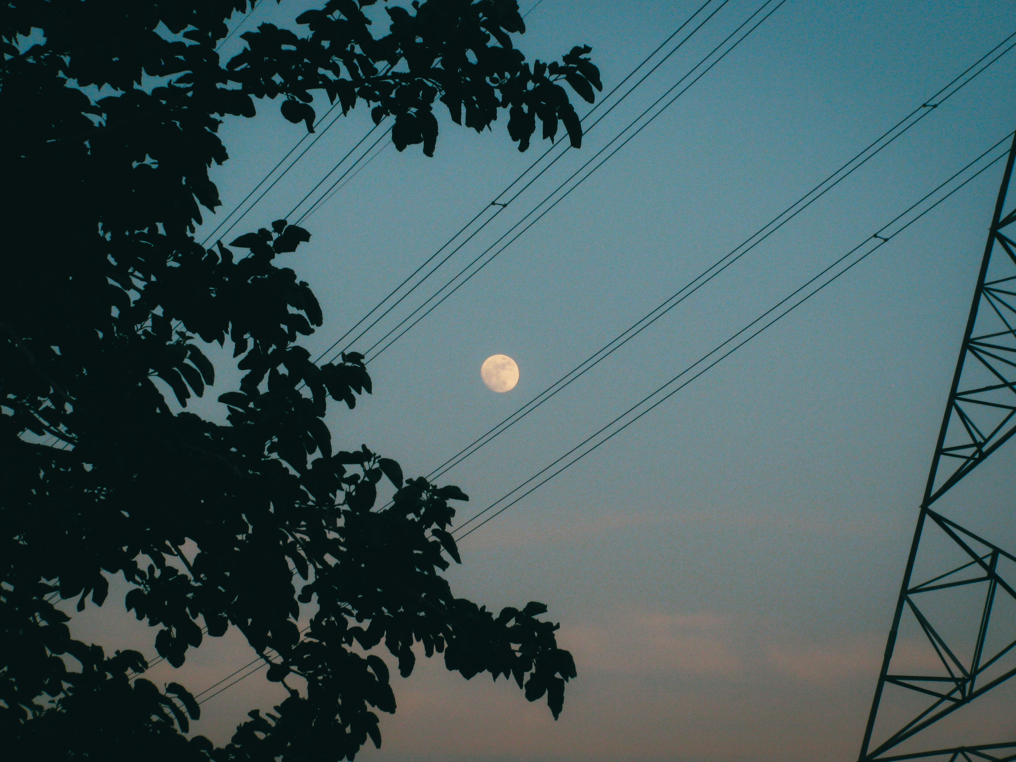 Evening moon with power lines and tree branches.