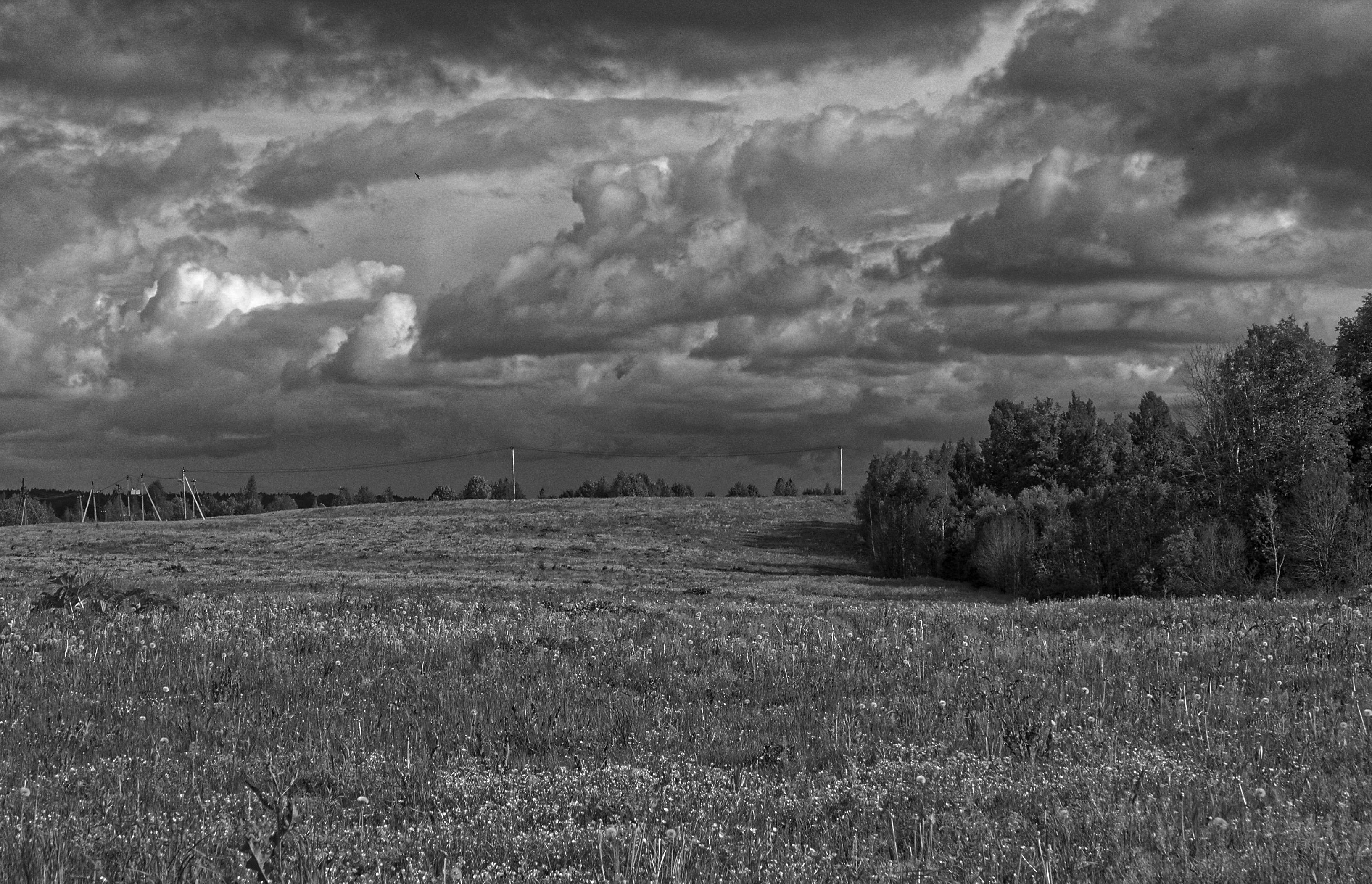 Dramatic cloudy sky over a vast field and distant trees.