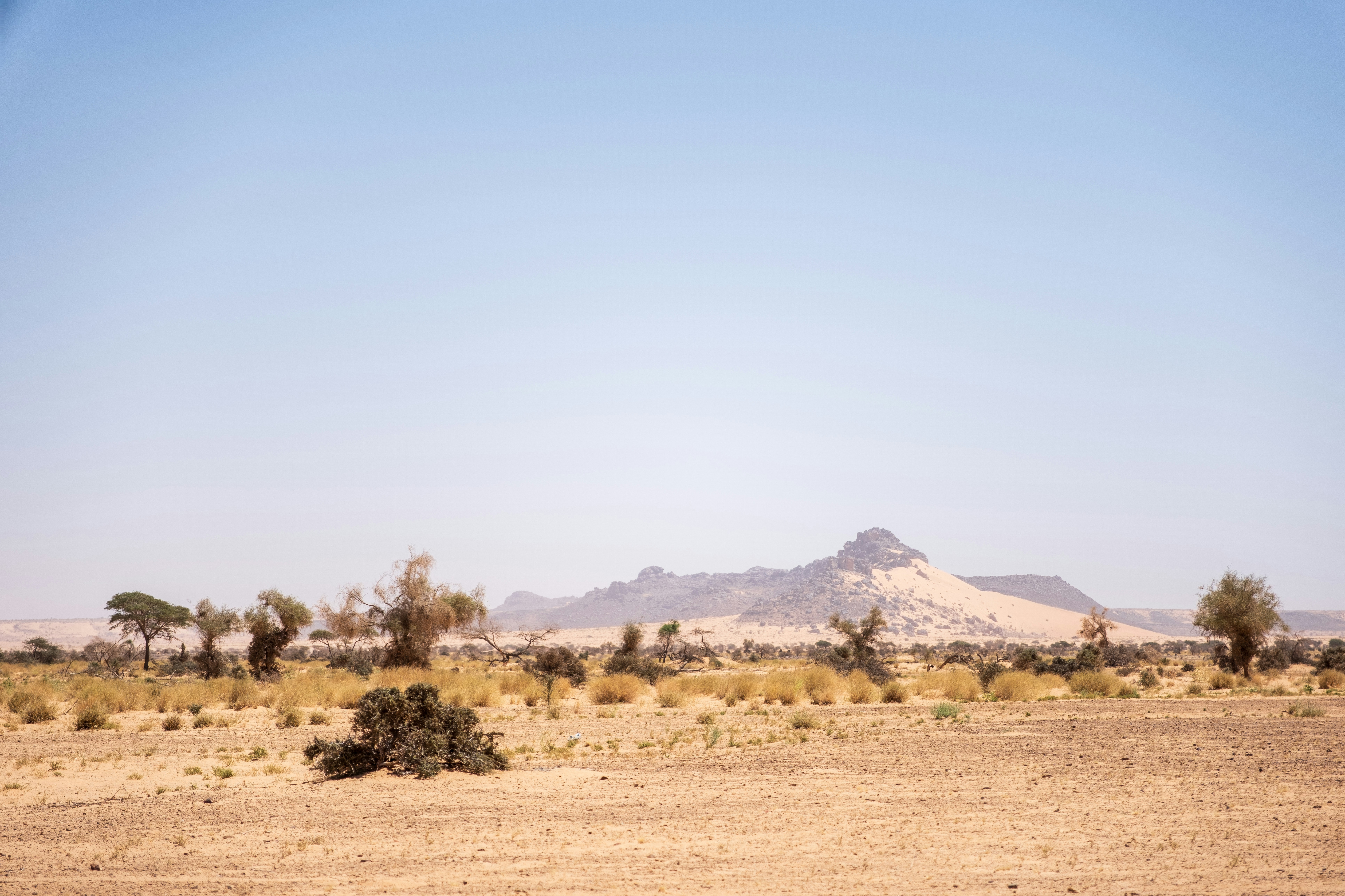 Mauritania Travel Cost Breakdown: 2-Week Expedition Budget 2026