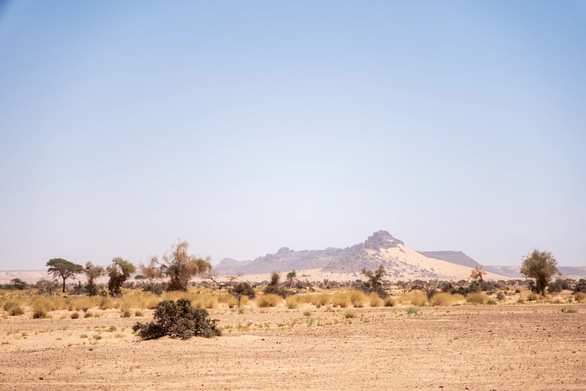A vast desert landscape with sparse vegetation and distant mountains.