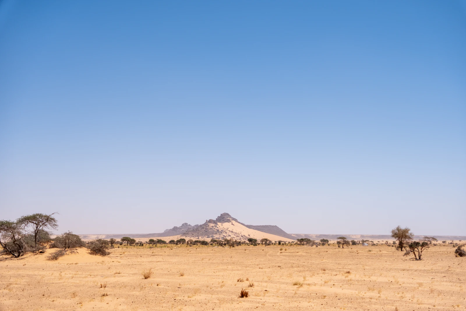 Paysage mauritanien