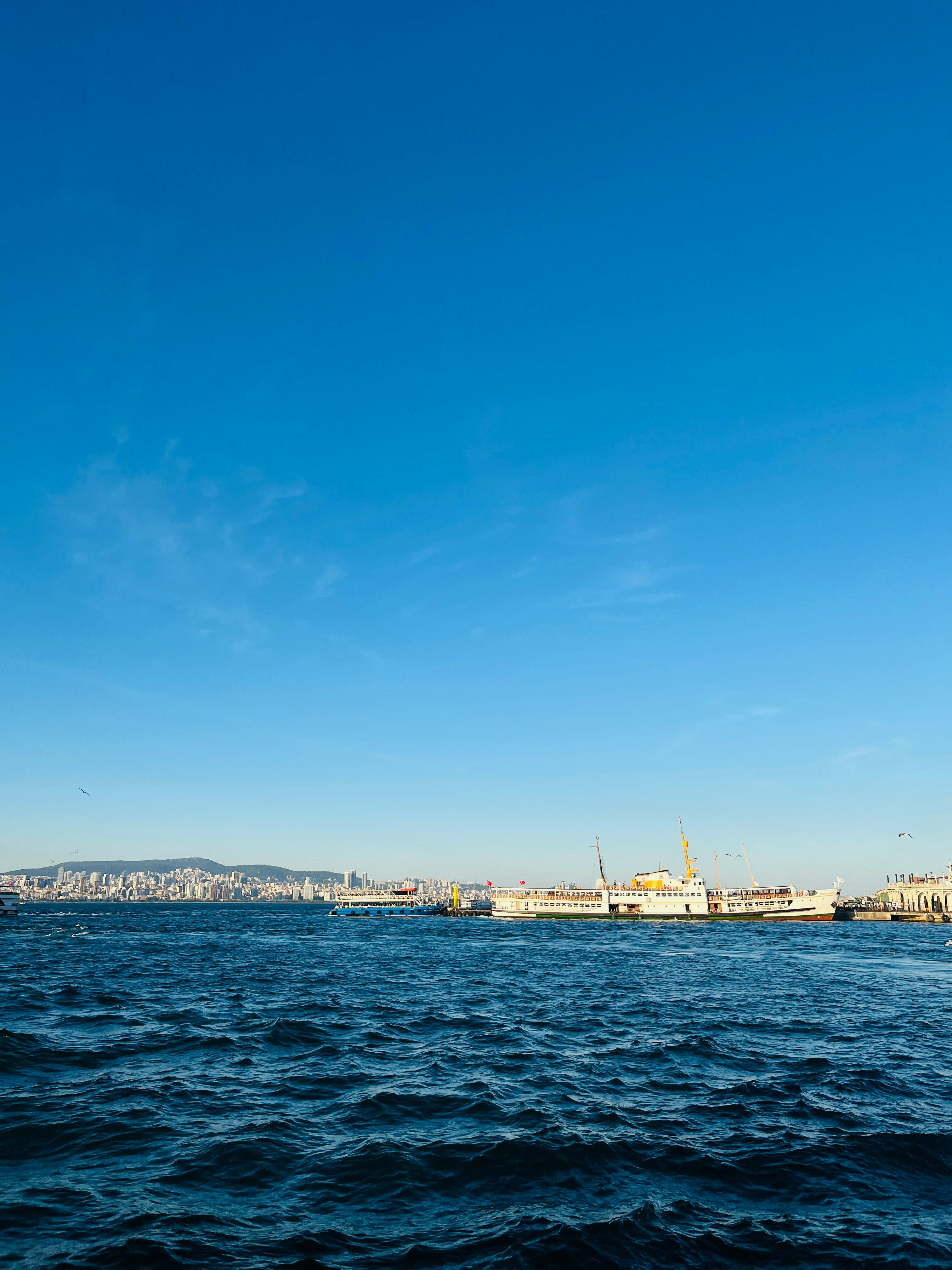 Photo by senatsal