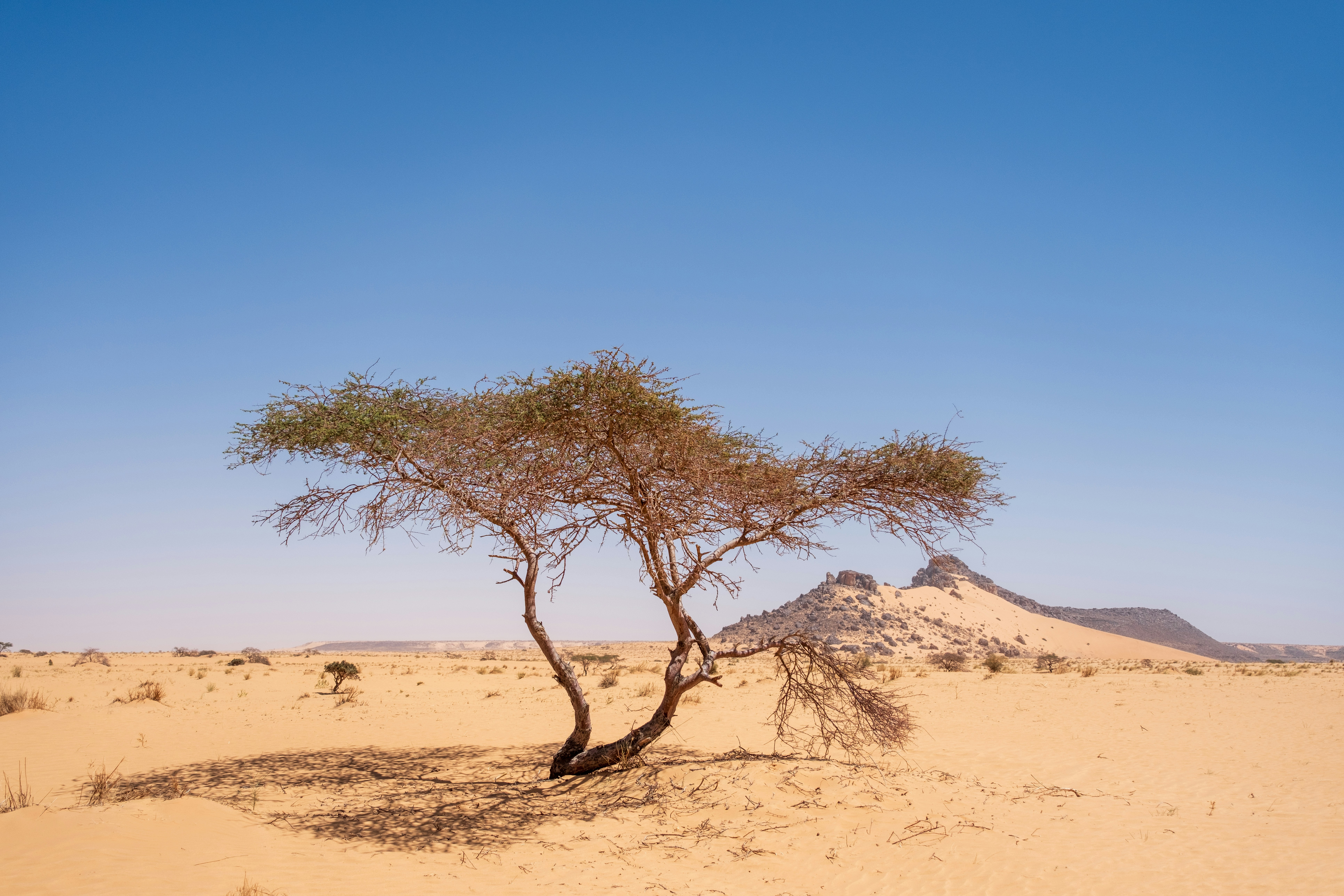 Mauritania Travel Cost Breakdown: 2-Week Expedition Budget 2026