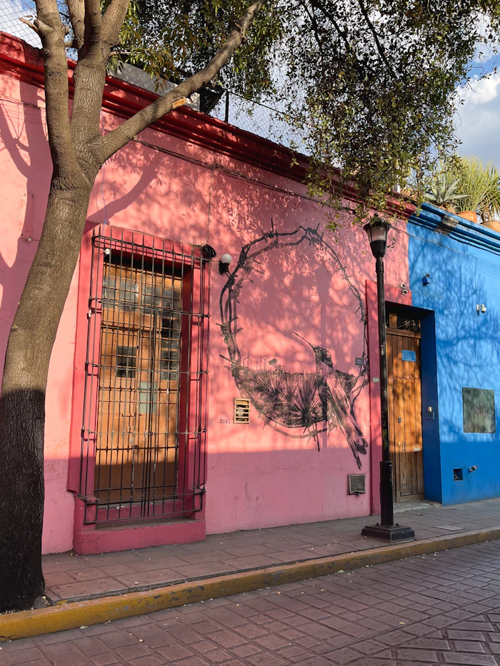 Vibrant pink and blue buildings