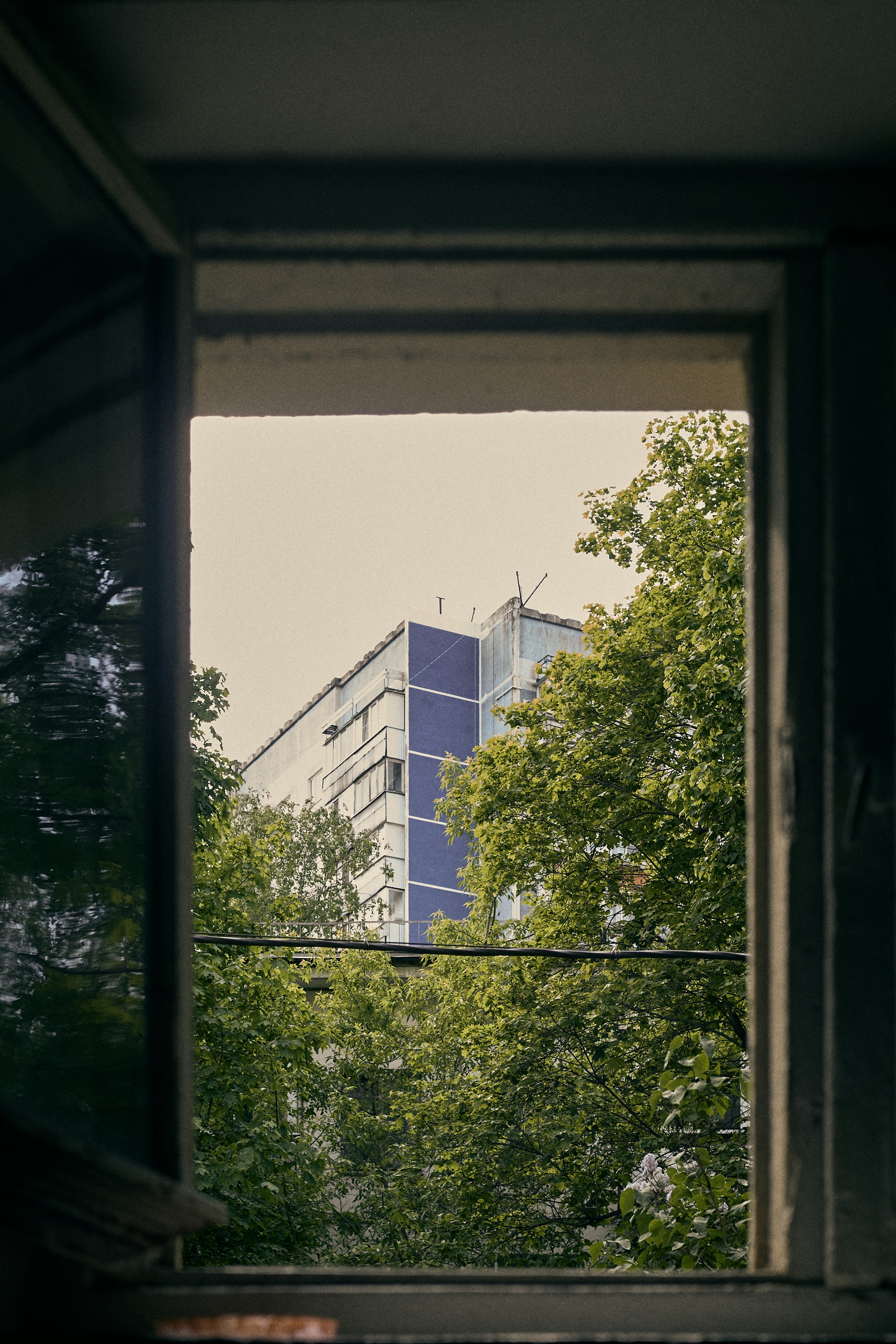 Photo by bat0n