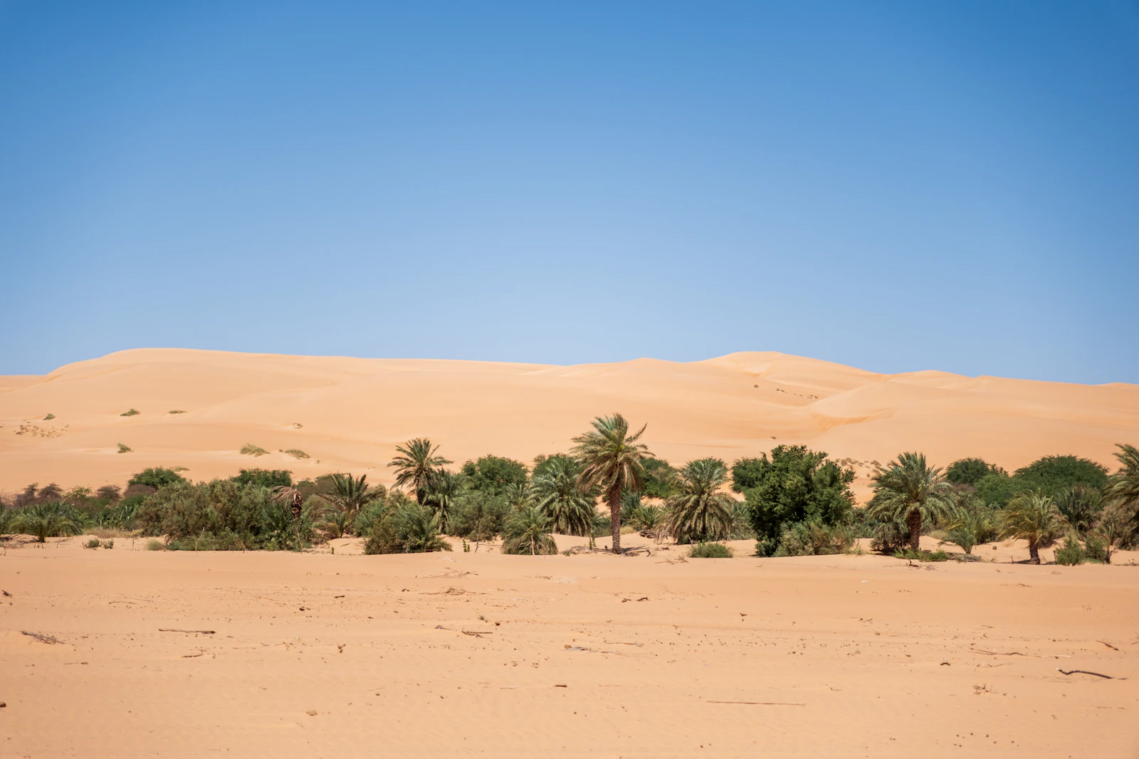 Mauritania desert landscape near the Adrar region