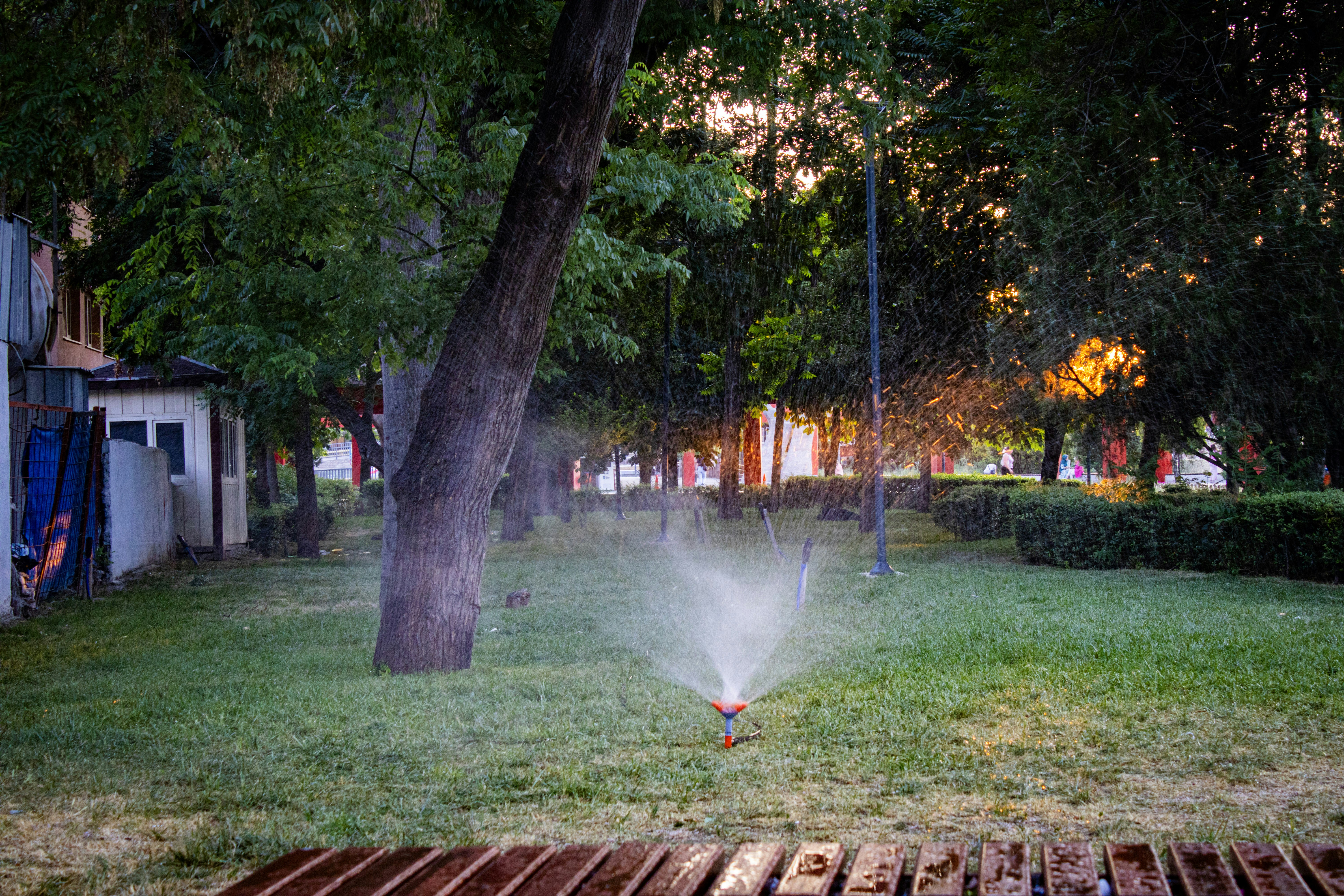 Photo by photocekici