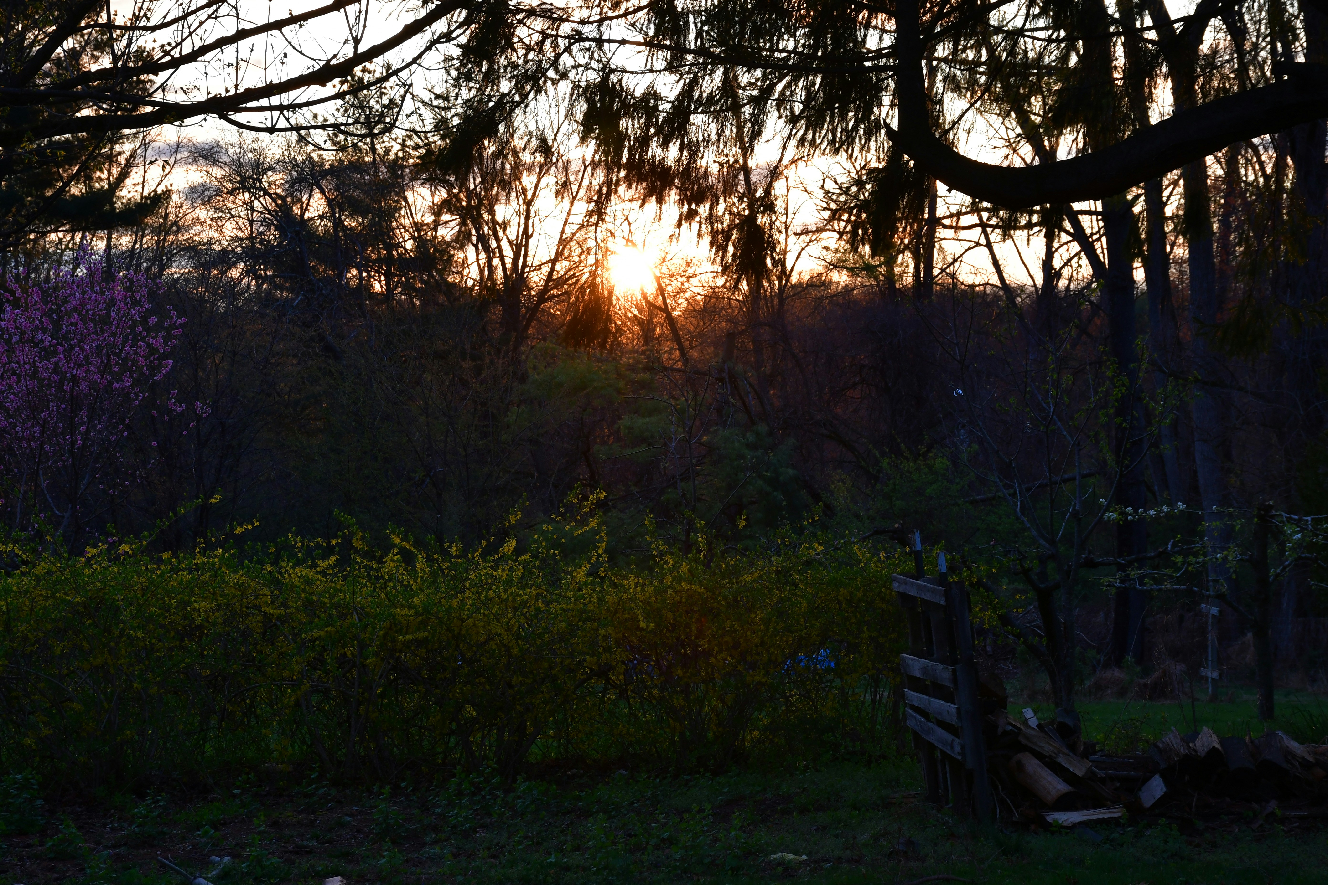 Photo by mkshmily