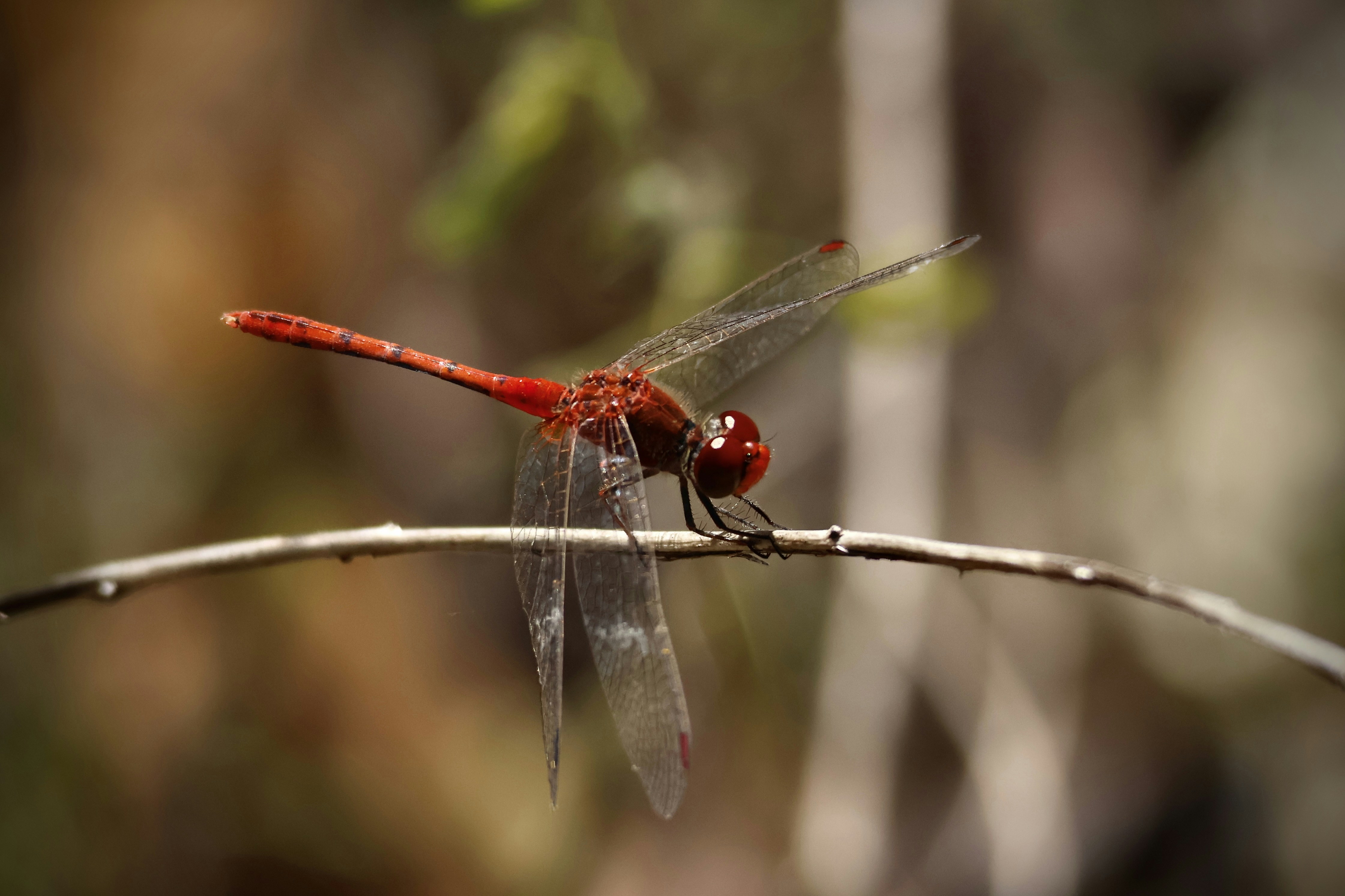 Photo by clancybrett