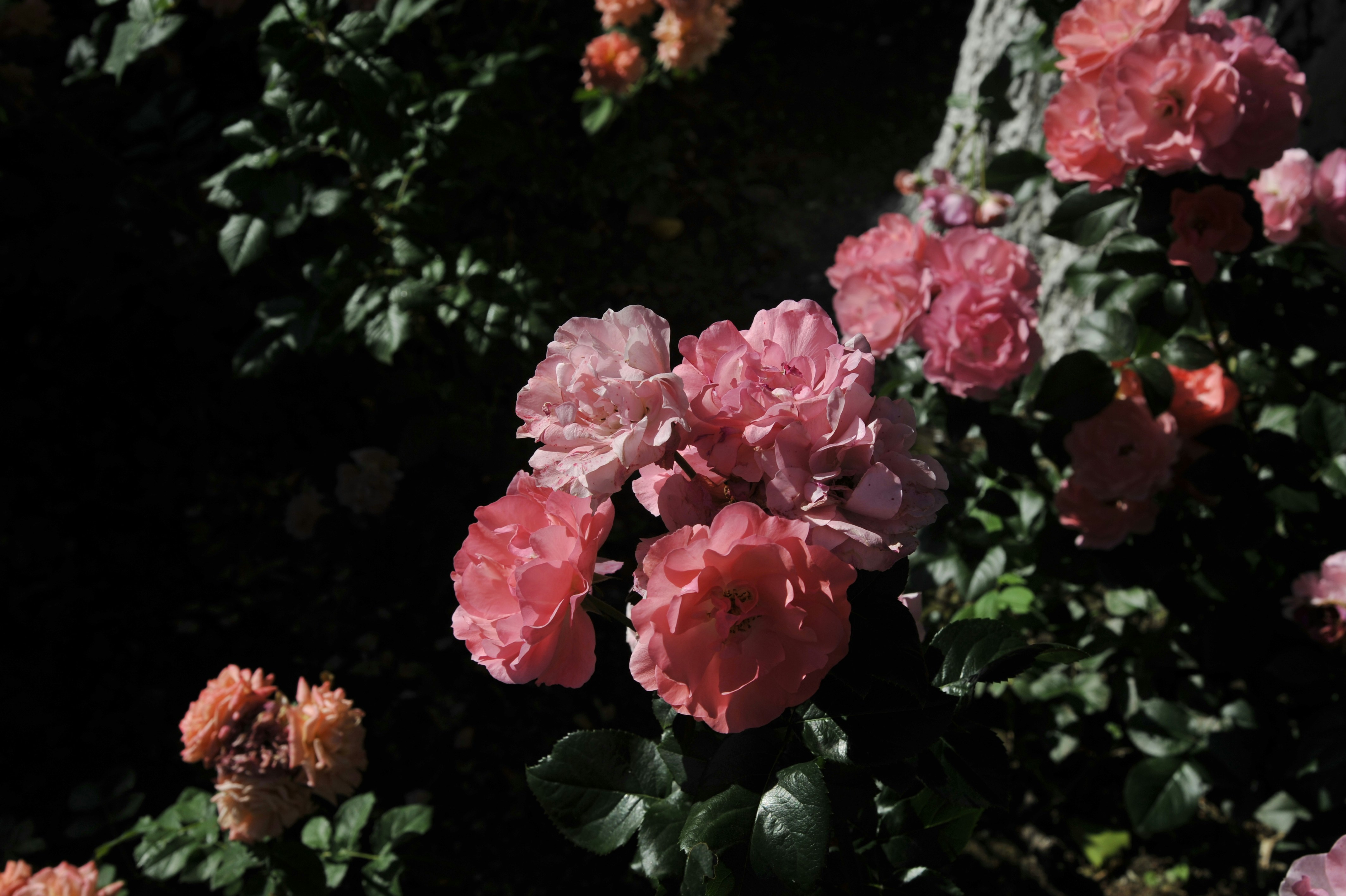 Photo by purity929