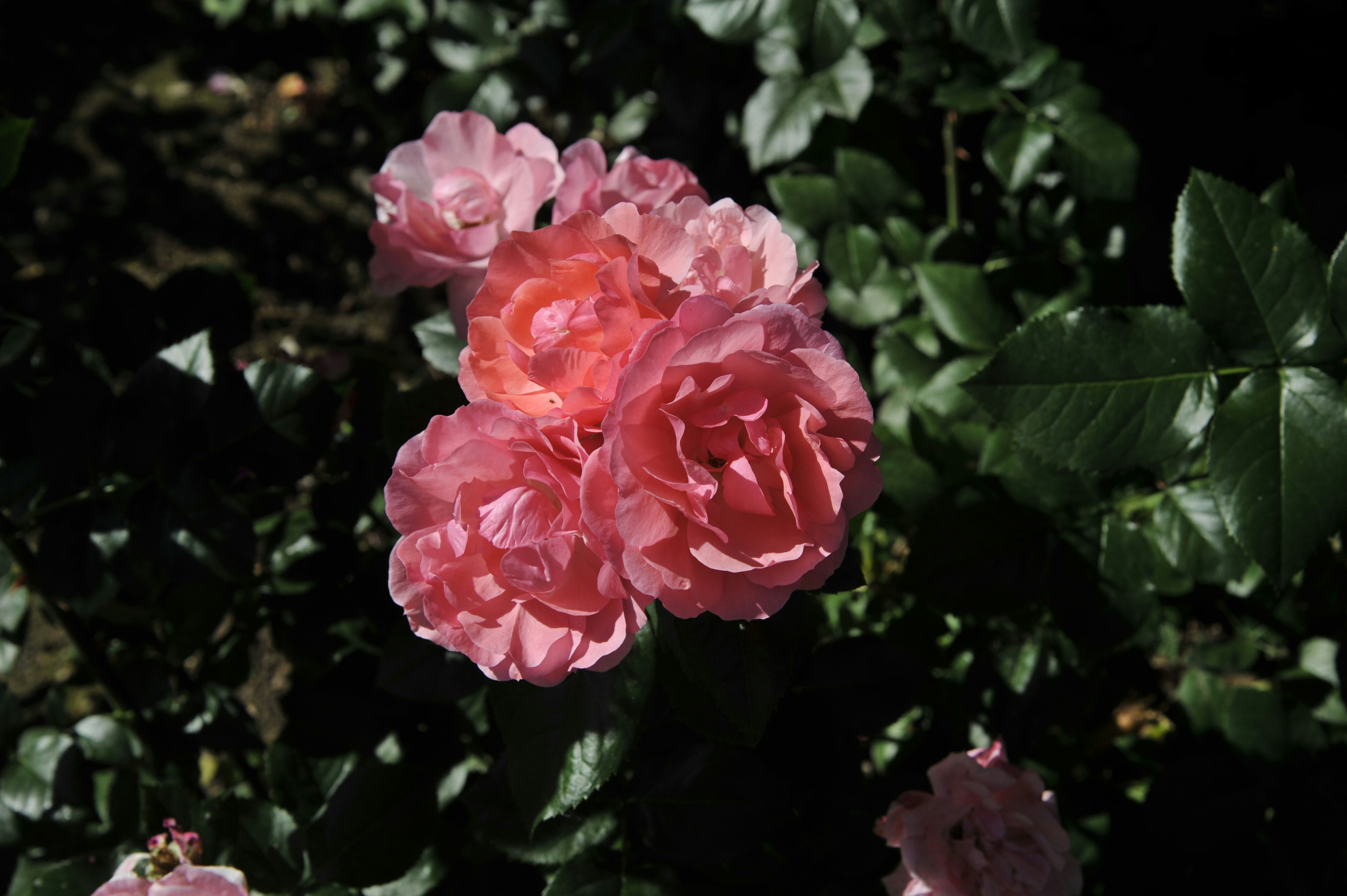 Photo by purity929