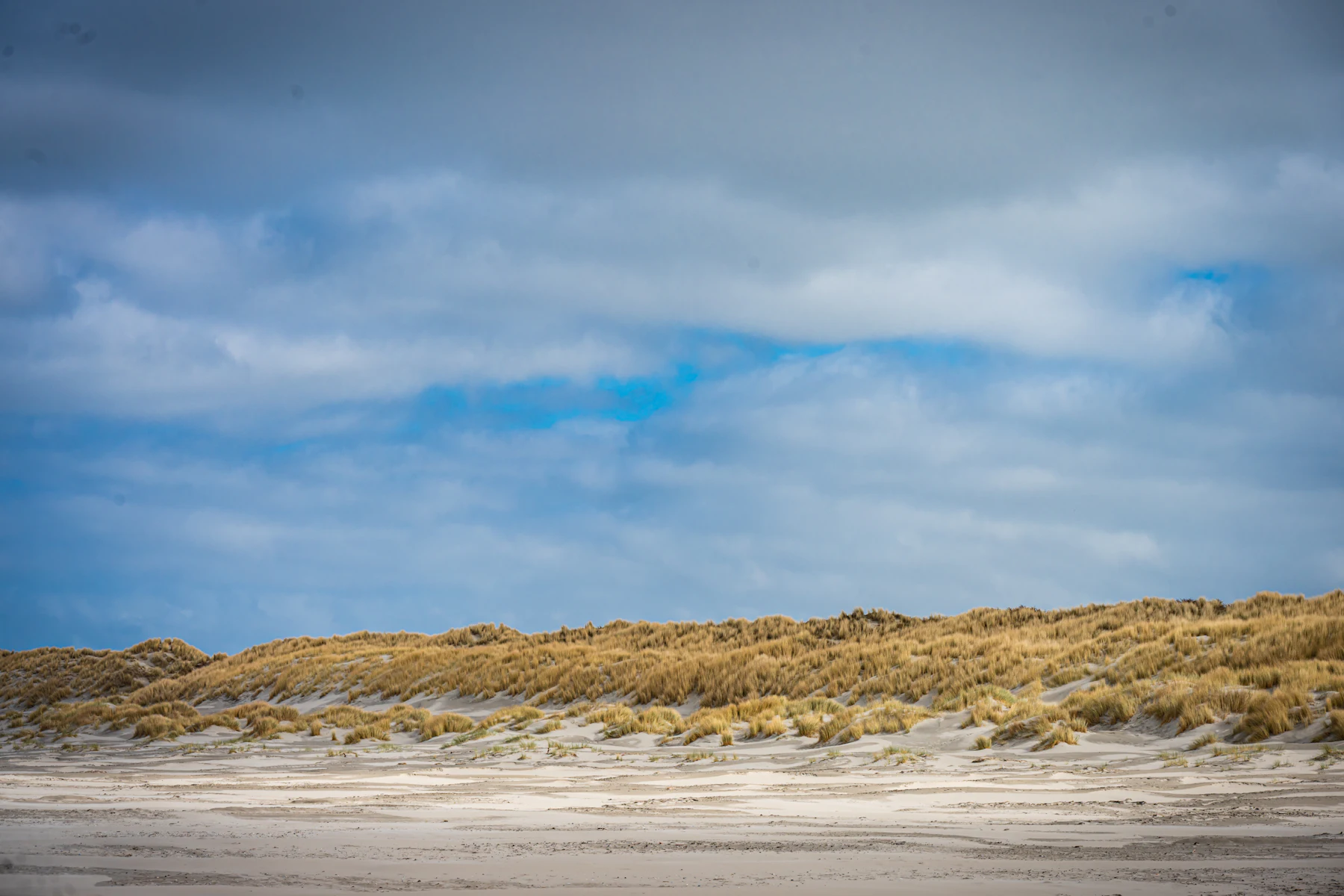 Cordon dunaire et plage de sable sous un ciel bleu venteux