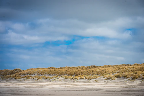 Cordon dunaire et plage de sable sous un ciel bleu venteux