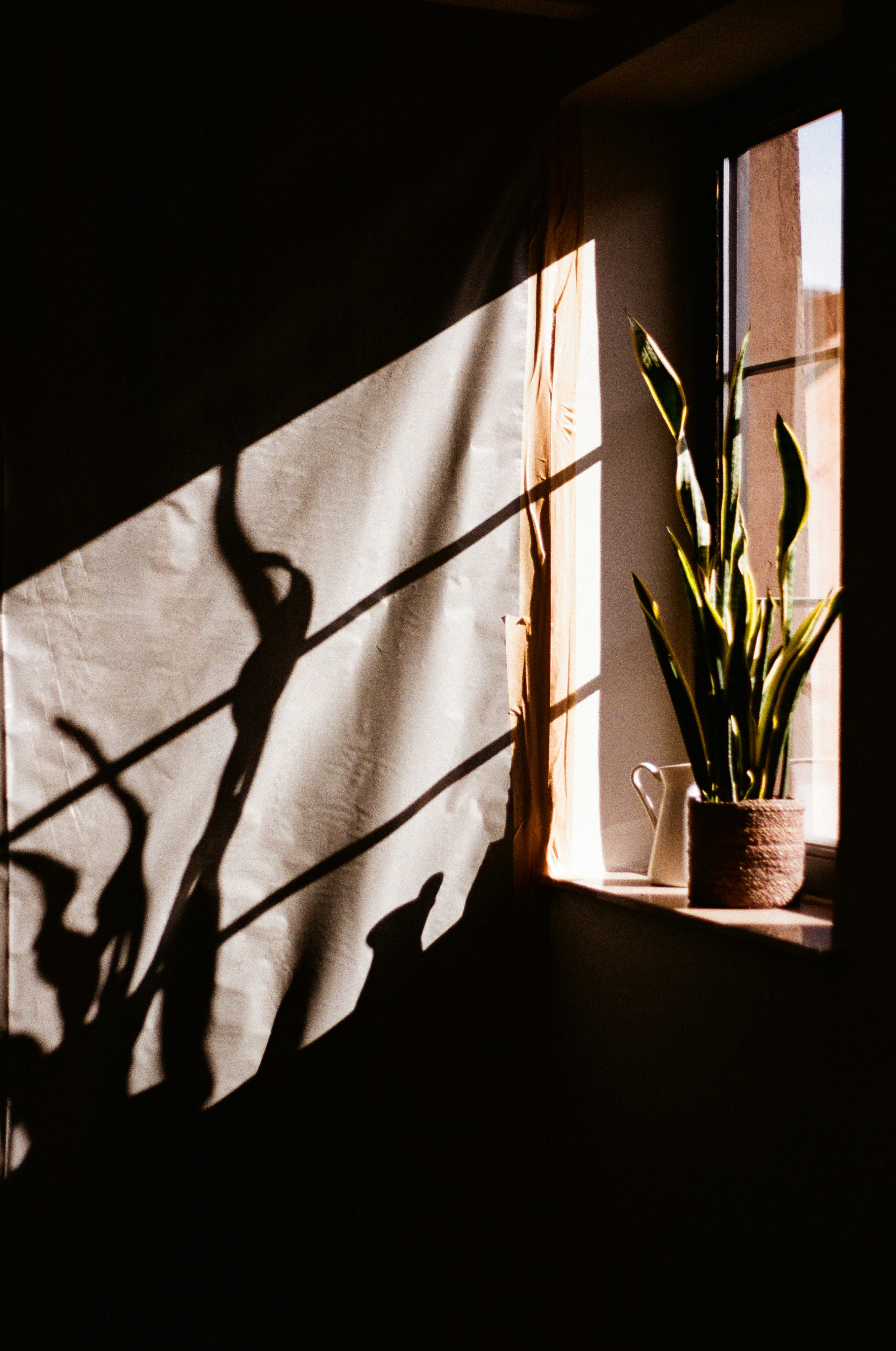 Photo by hypernature