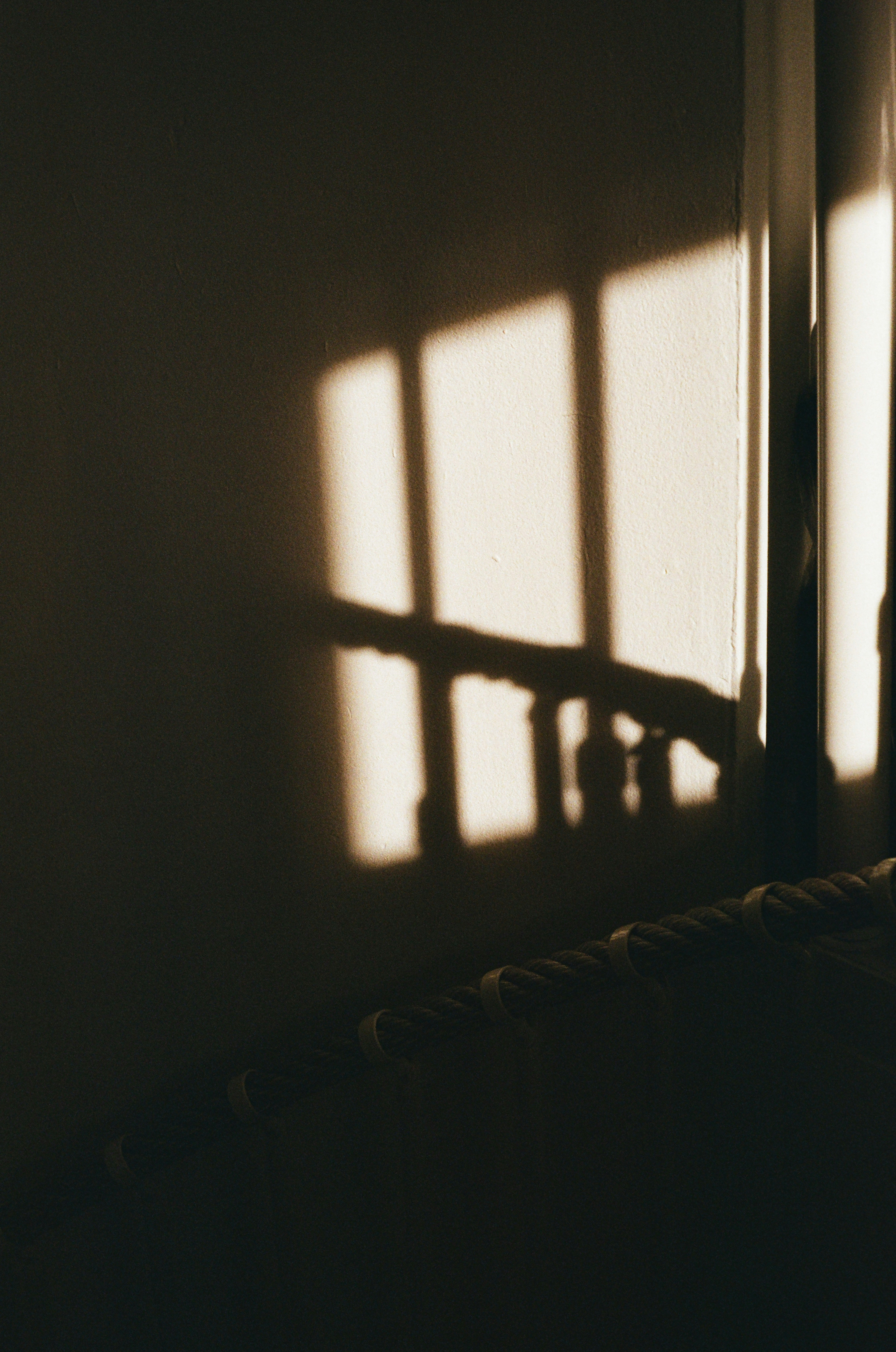 Photo by hypernature