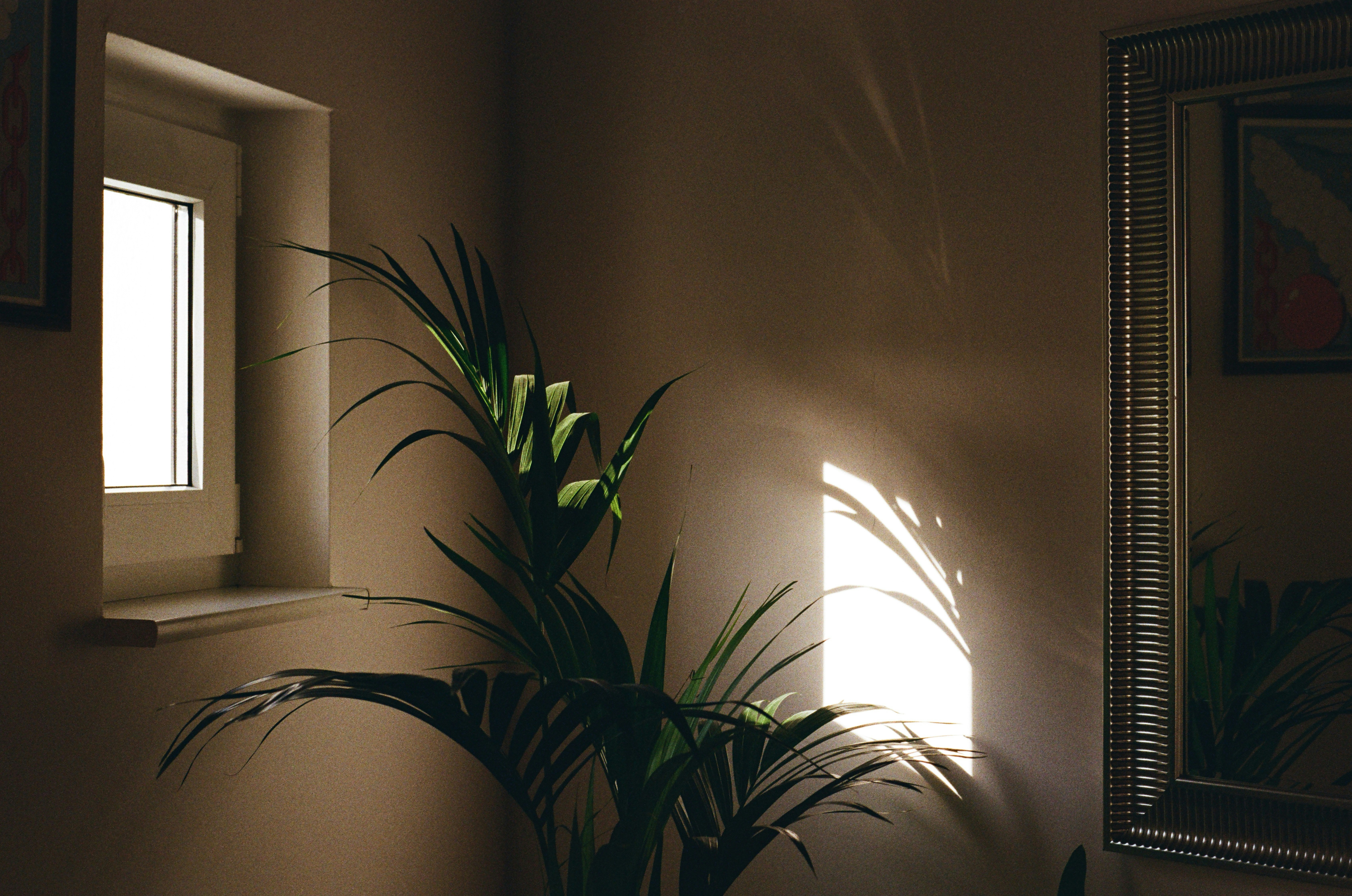 5 Laws To Help Industry Leaders In Double Glazed Window Repair Industry