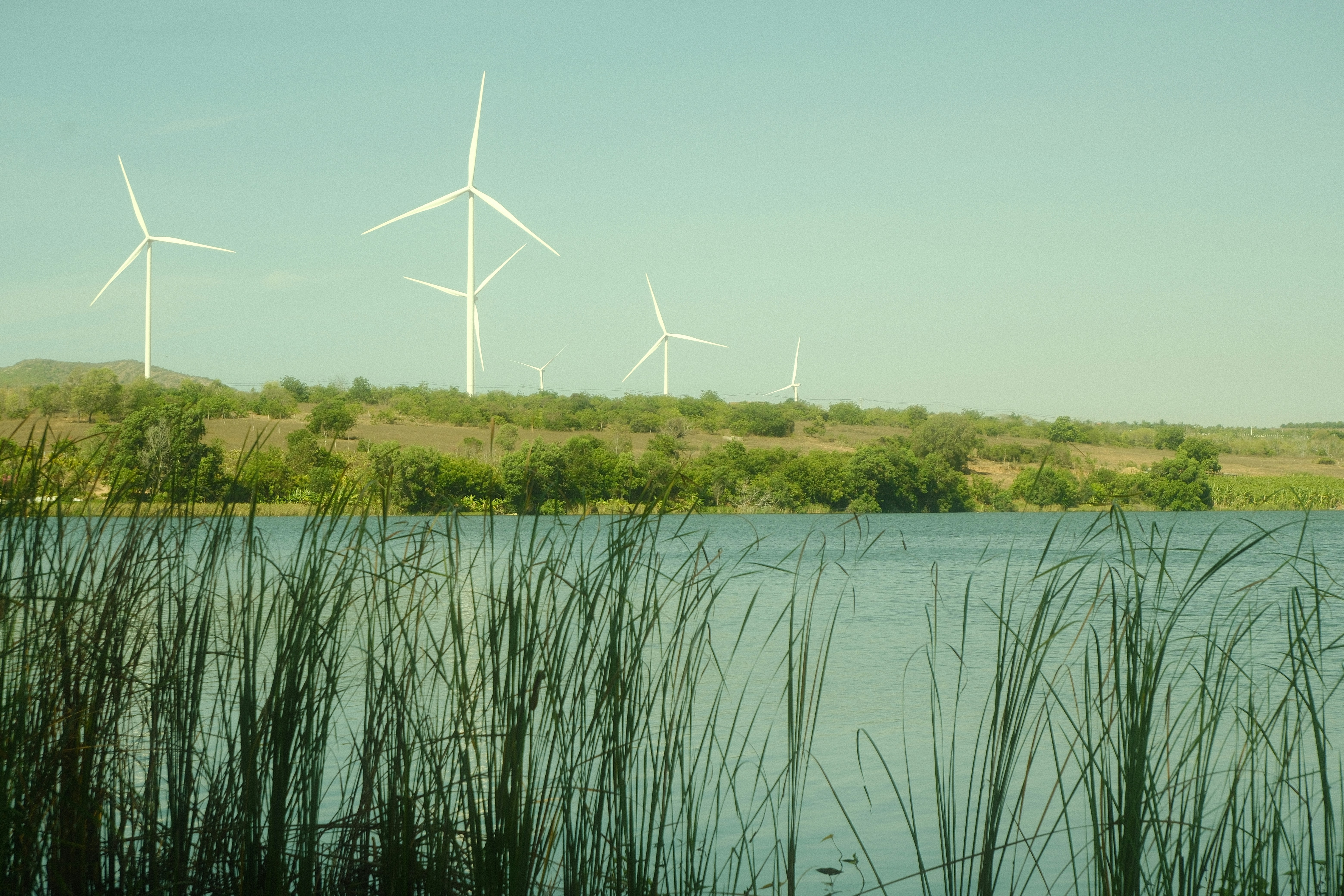 Wind turbines on a hill overlooking a lake with reeds