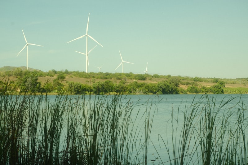 Windräder an einem See mit Schilf