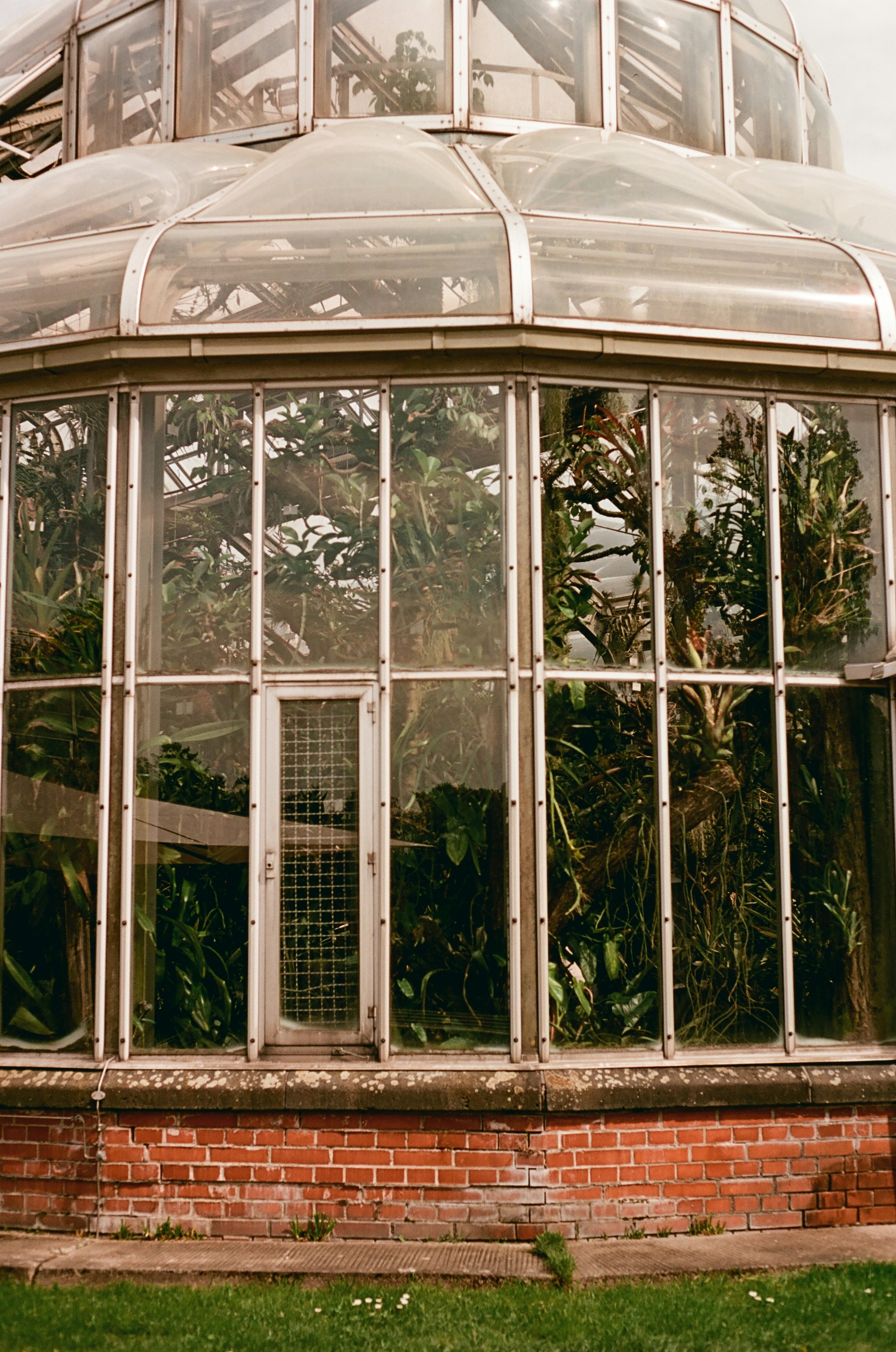 A vintage glass greenhouse with lush plants inside.