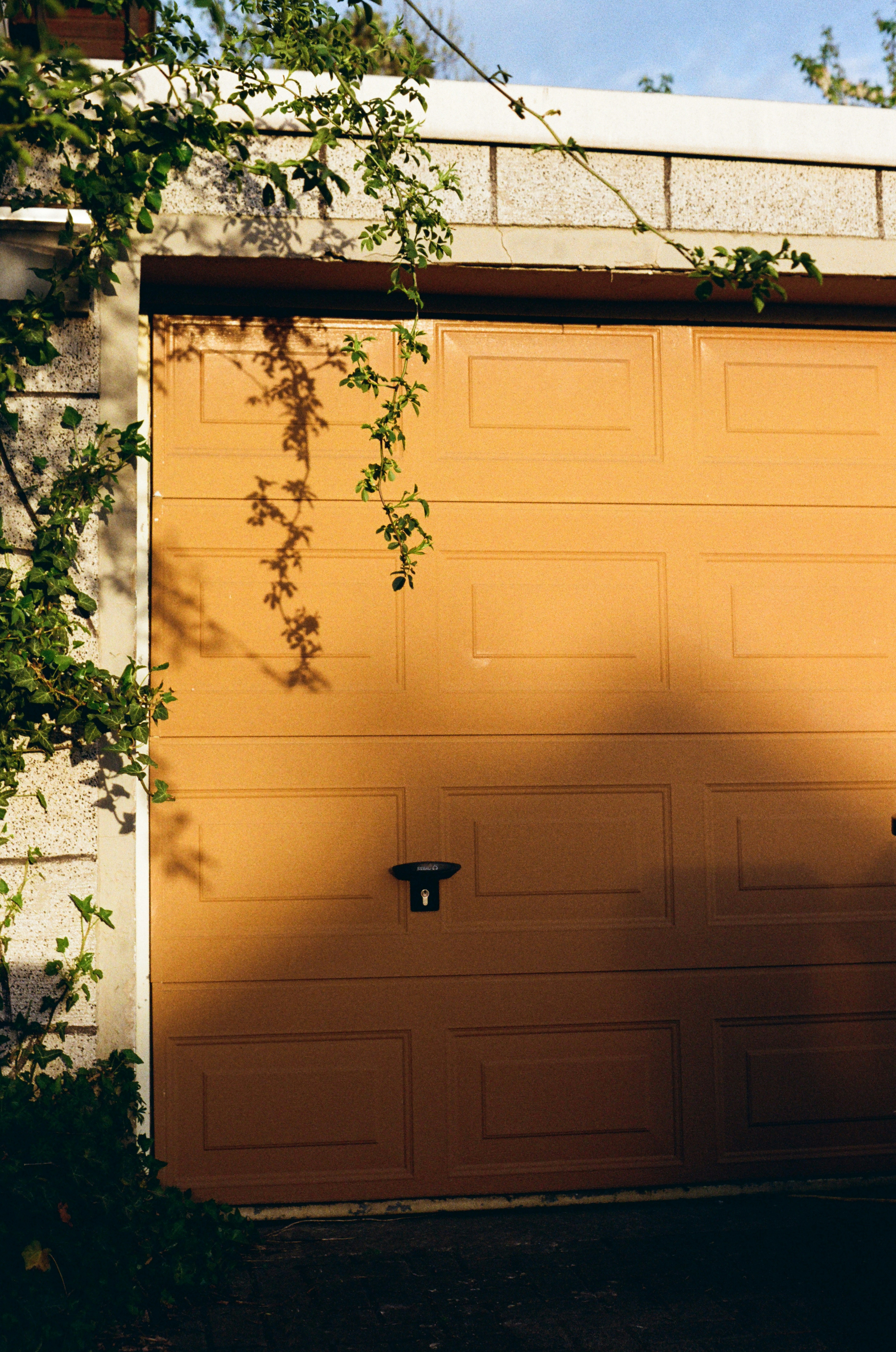 Photo by hypernature