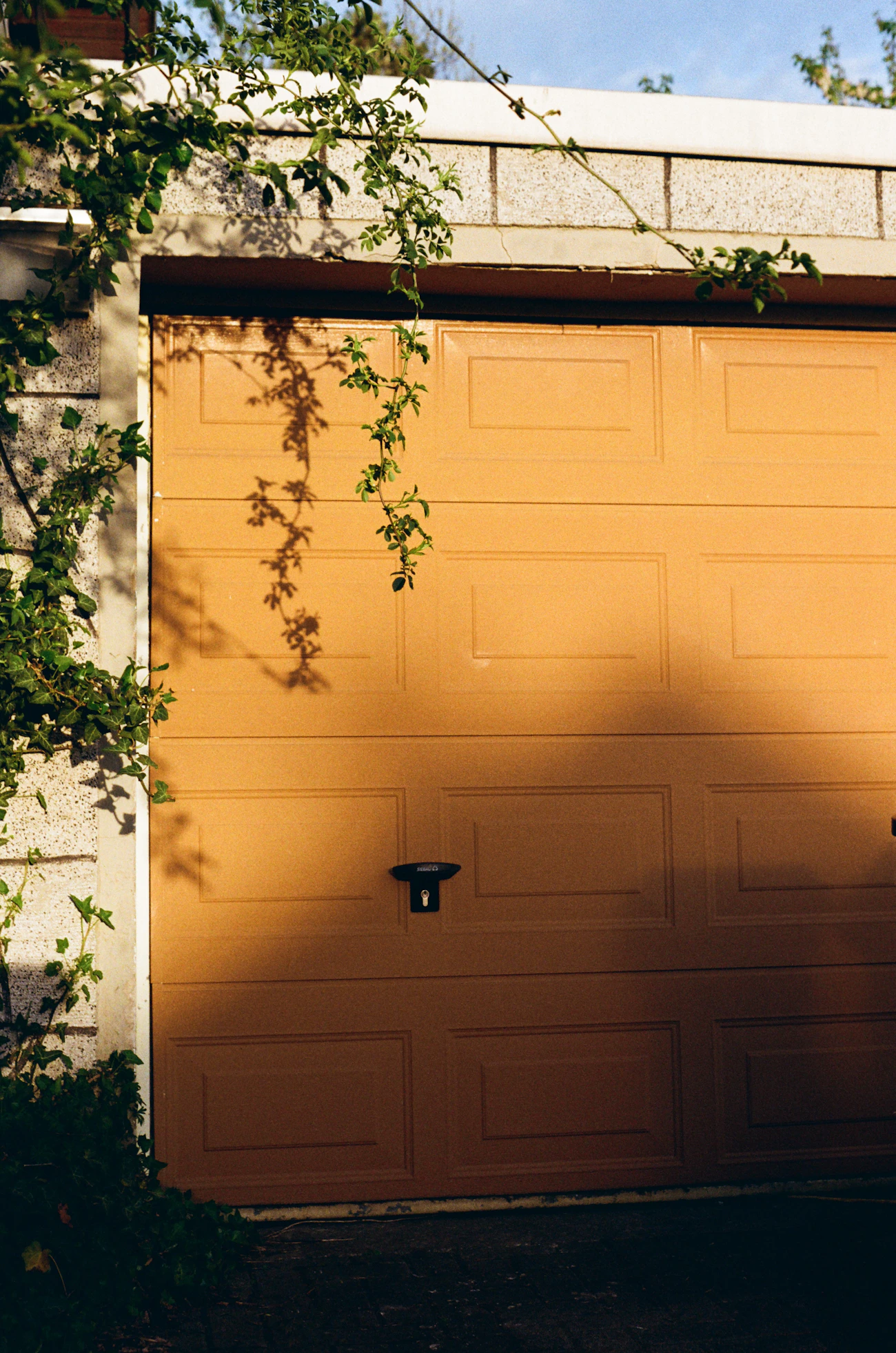 Brown garage door framed by climbing greenery