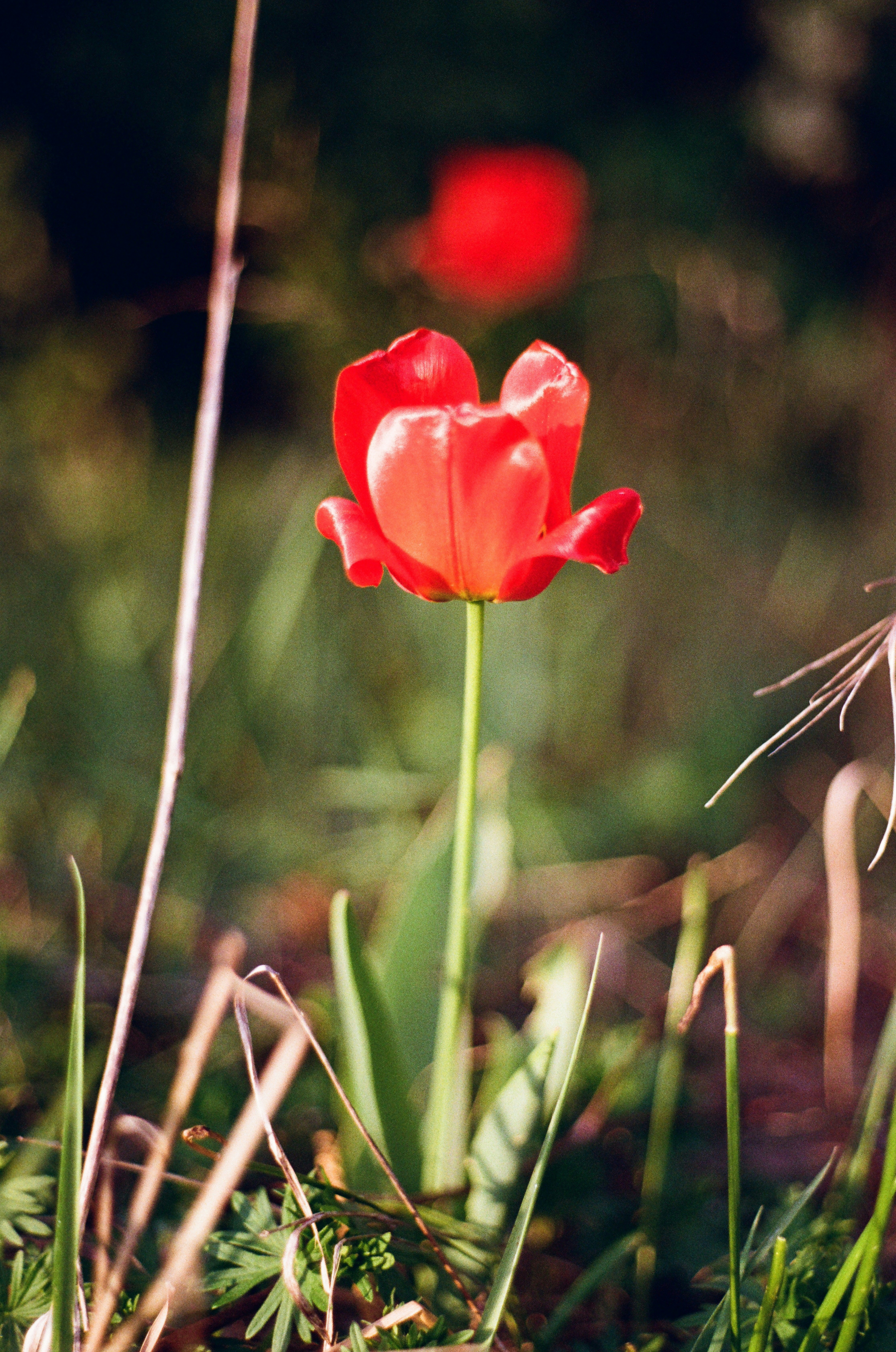 Photo by hypernature