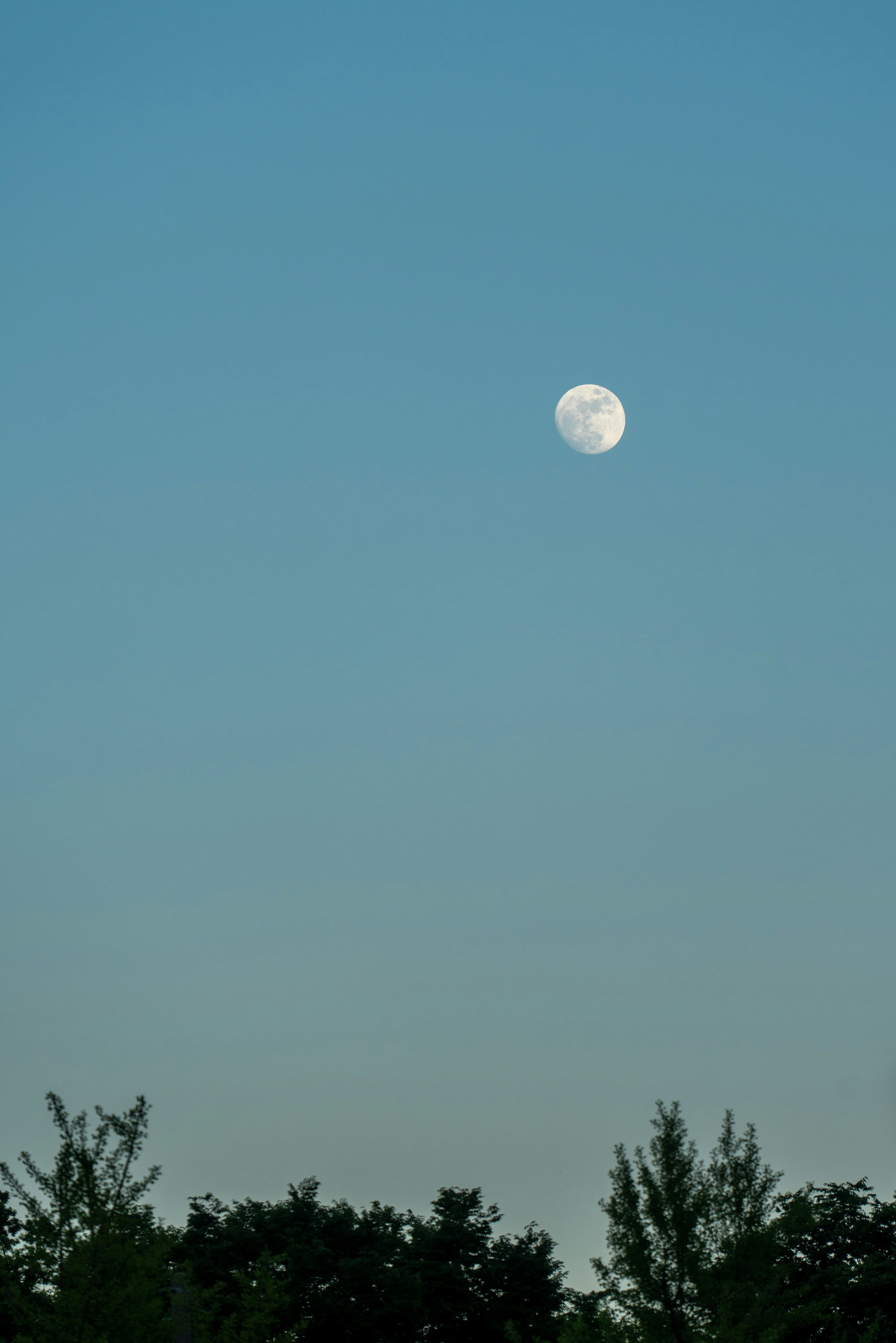Photo by sobalc