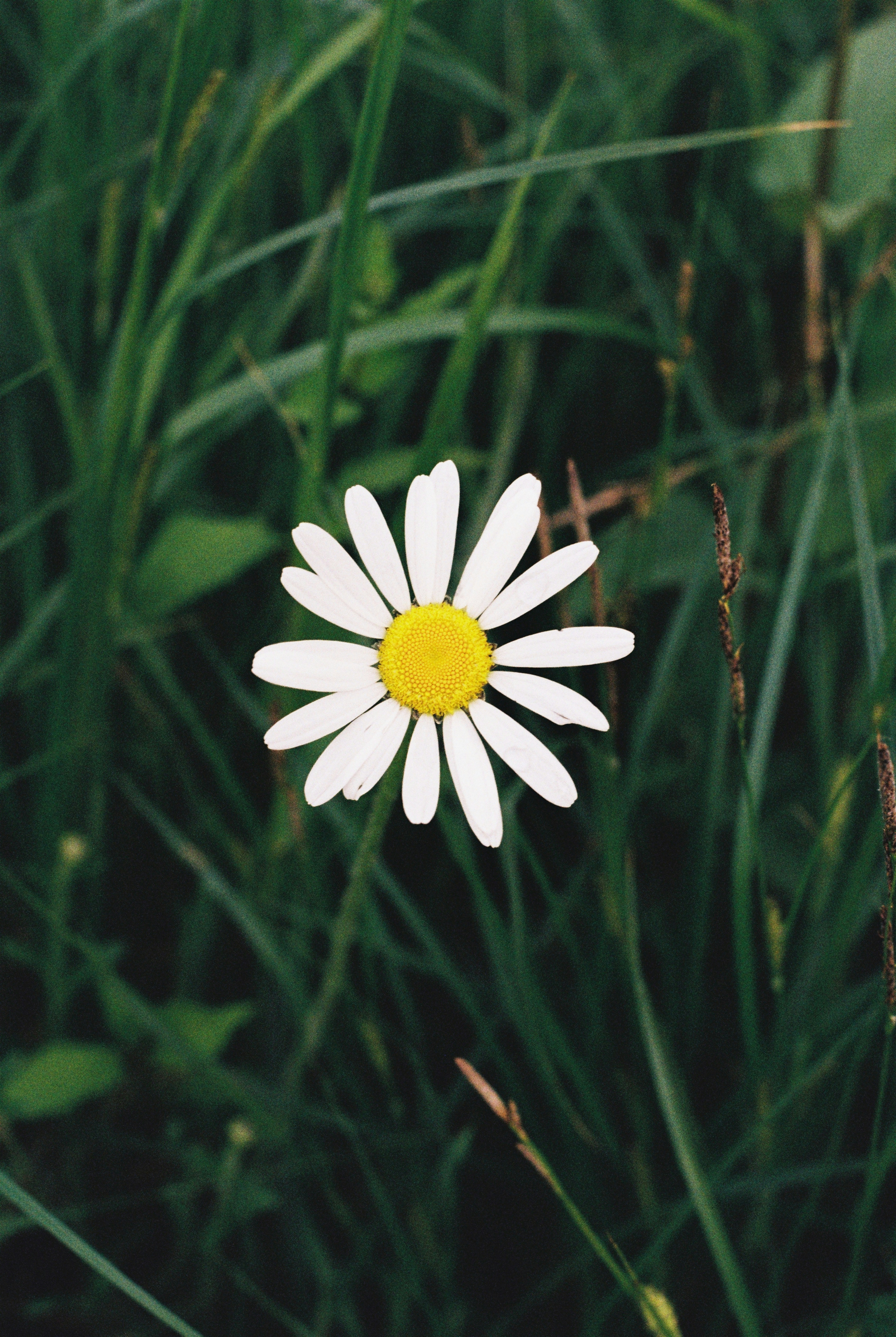Photo by hypernature