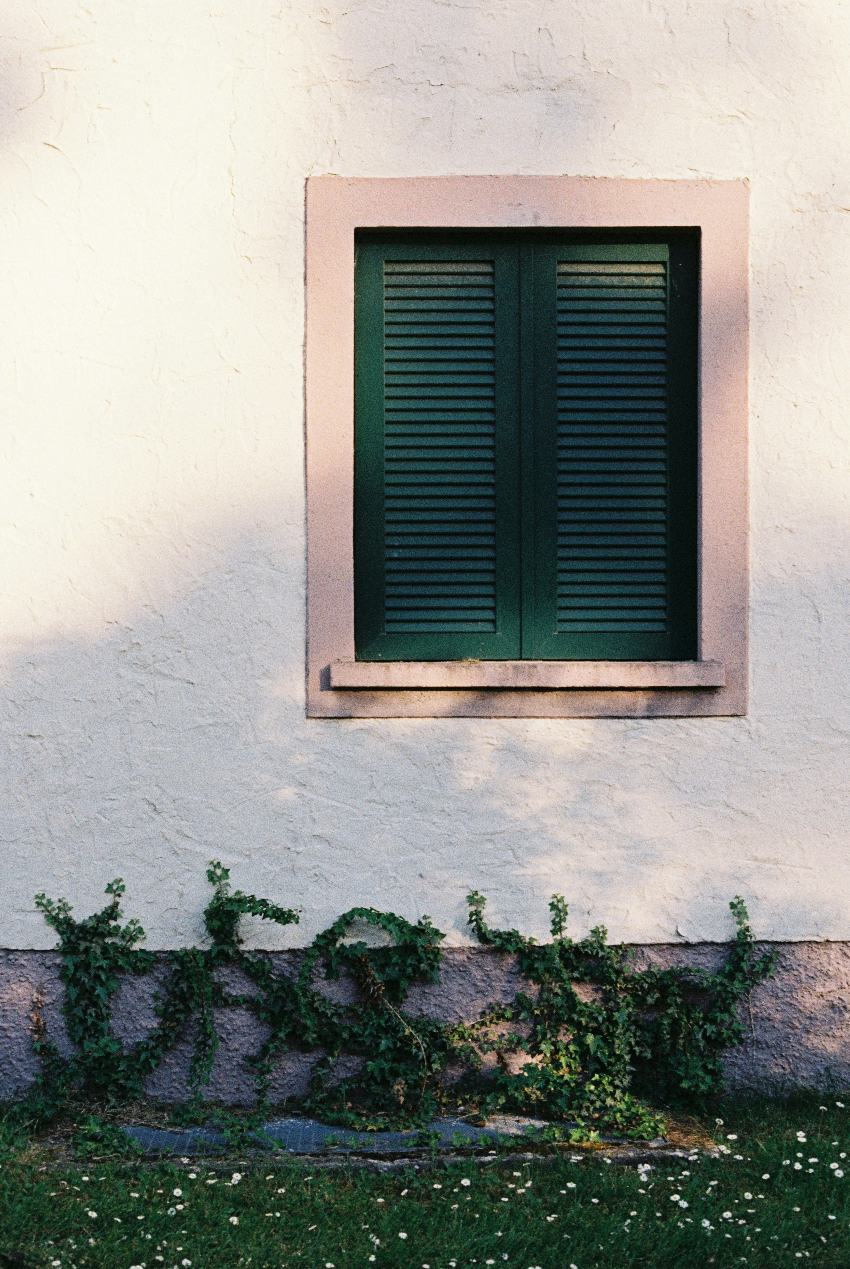 Photo by hypernature
