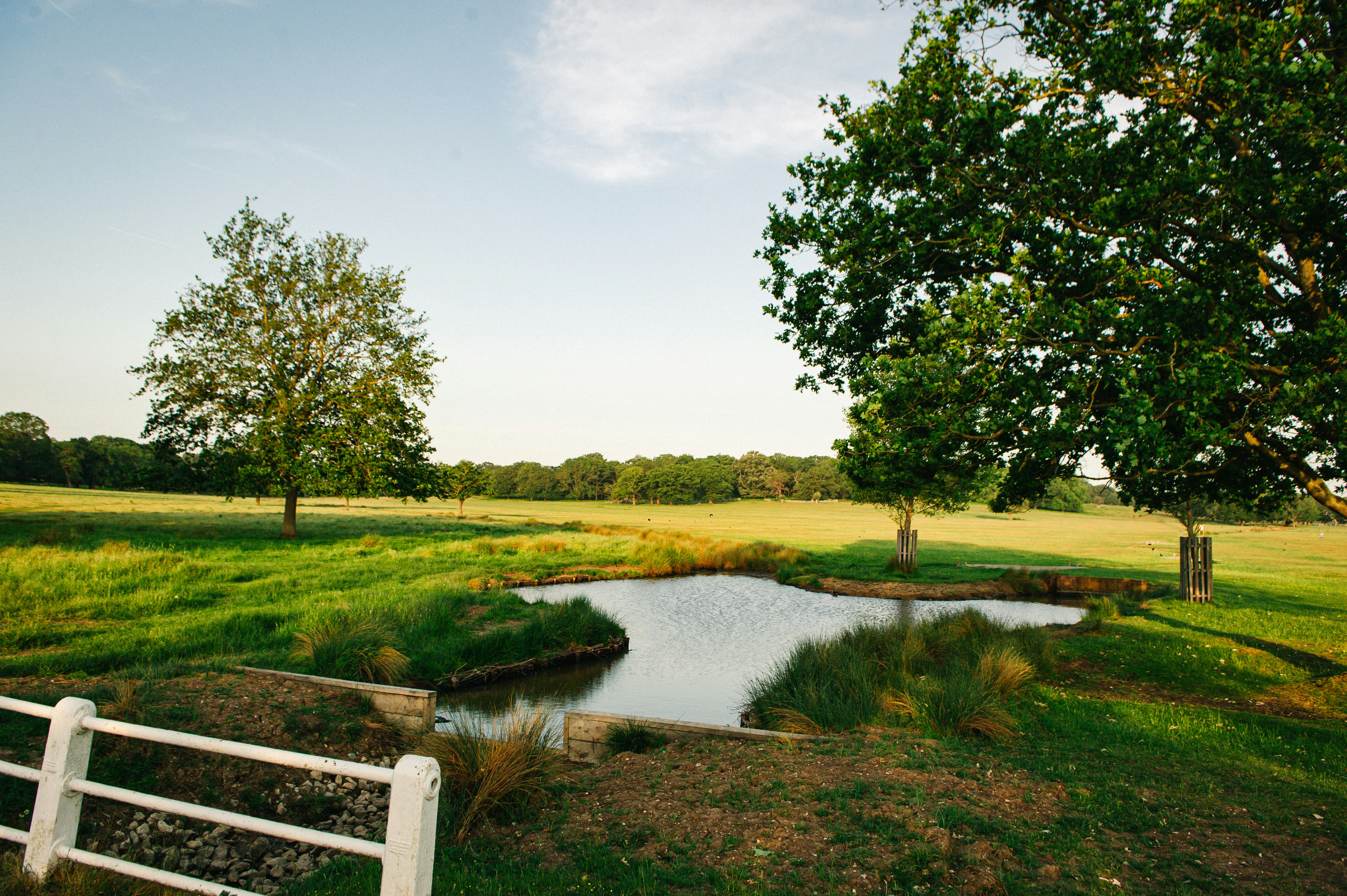 Rural landscape with a pond, green fields, and trees.