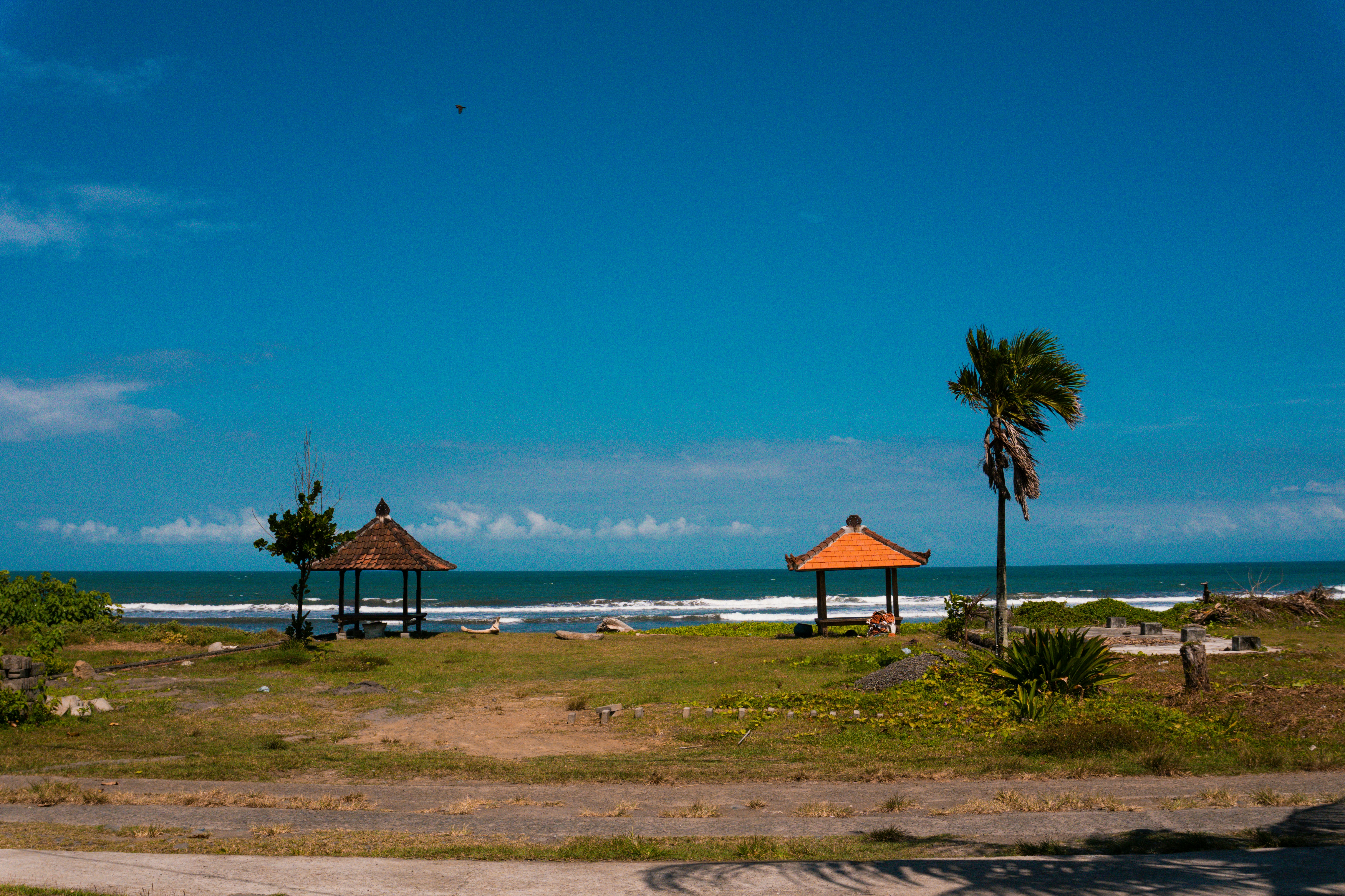 Spiaggia con due gazebo, una palma e un cielo azzurro.