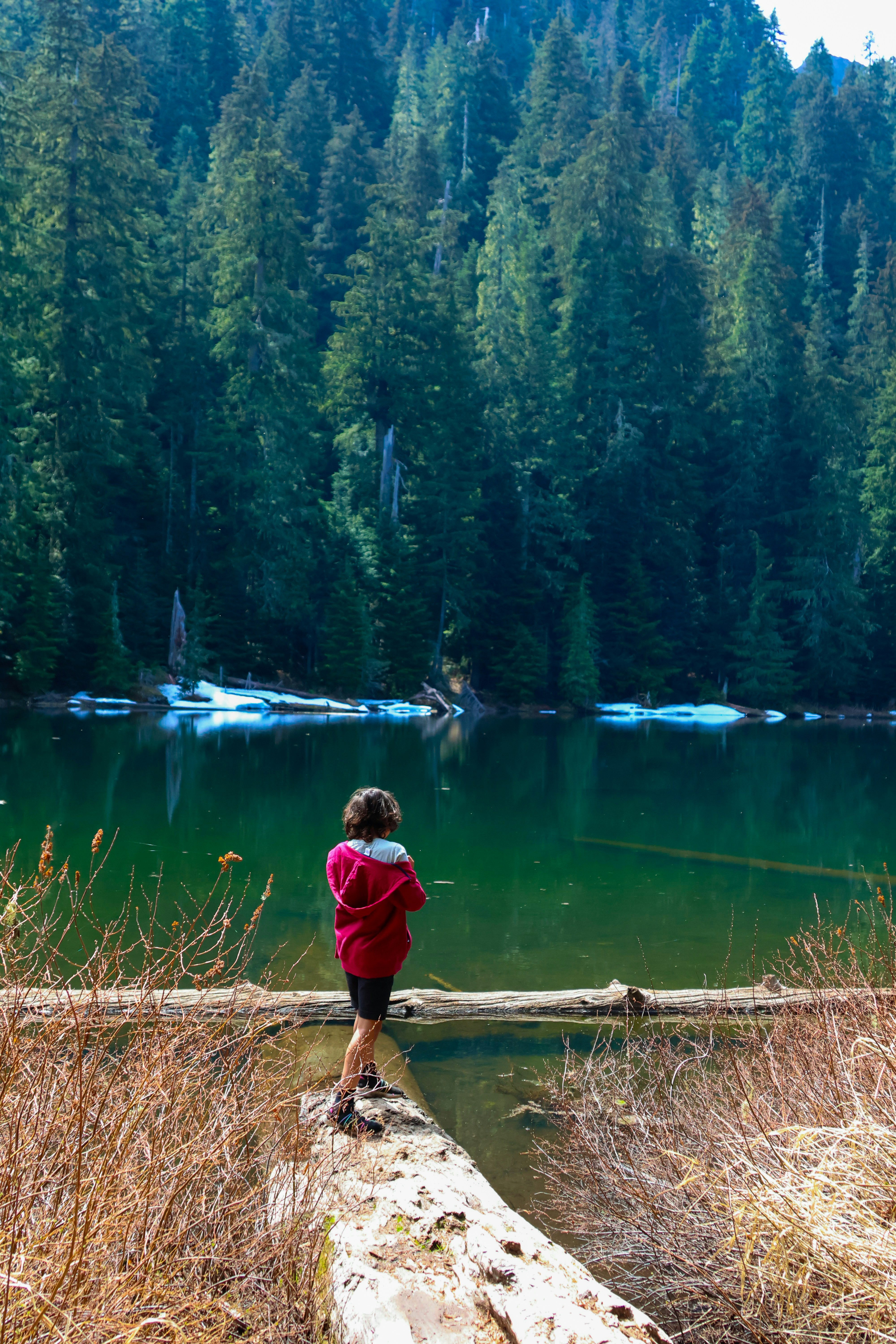 Child explores a fallen log by a tranquil forest lake.