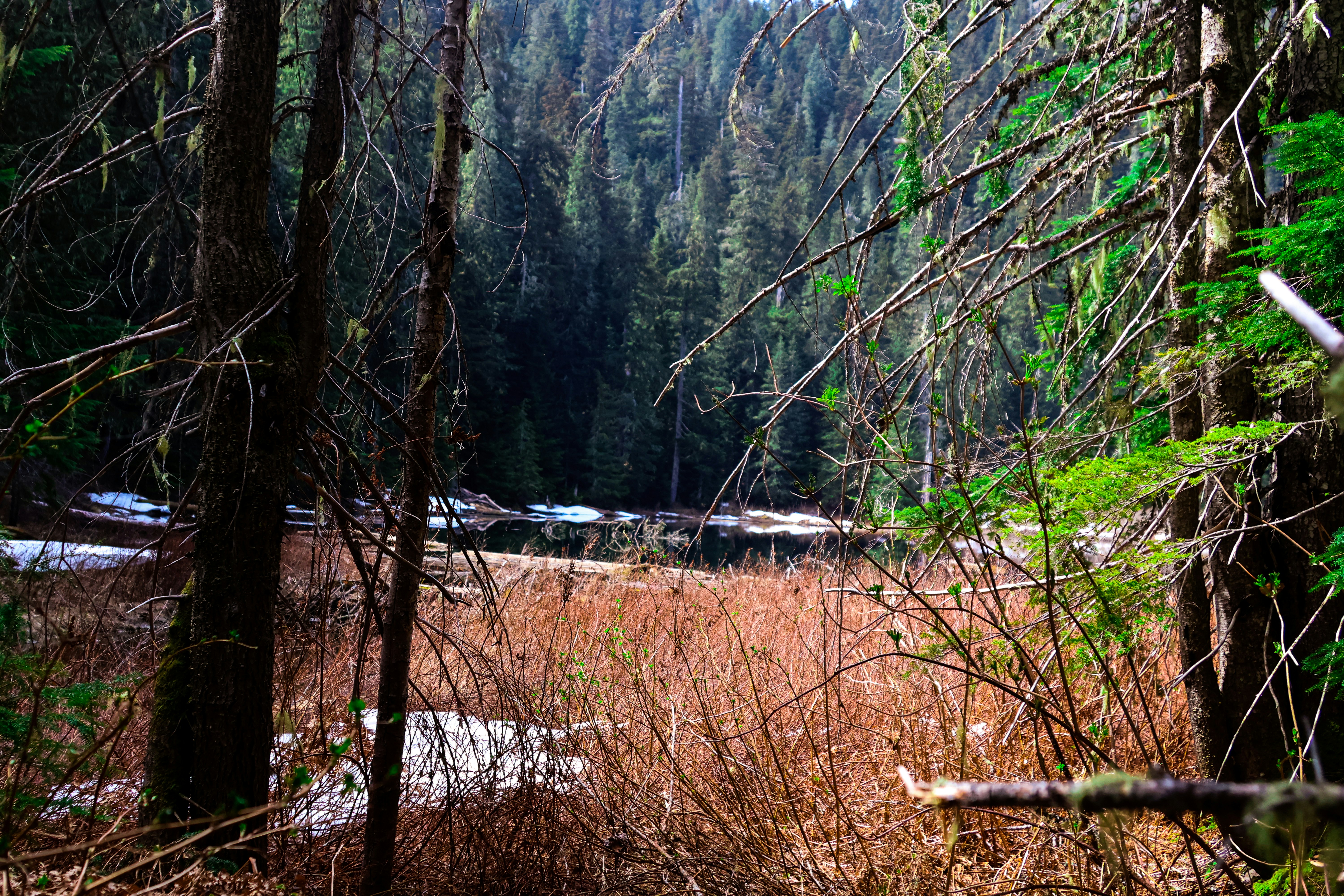 Photo by traveleroohlala
