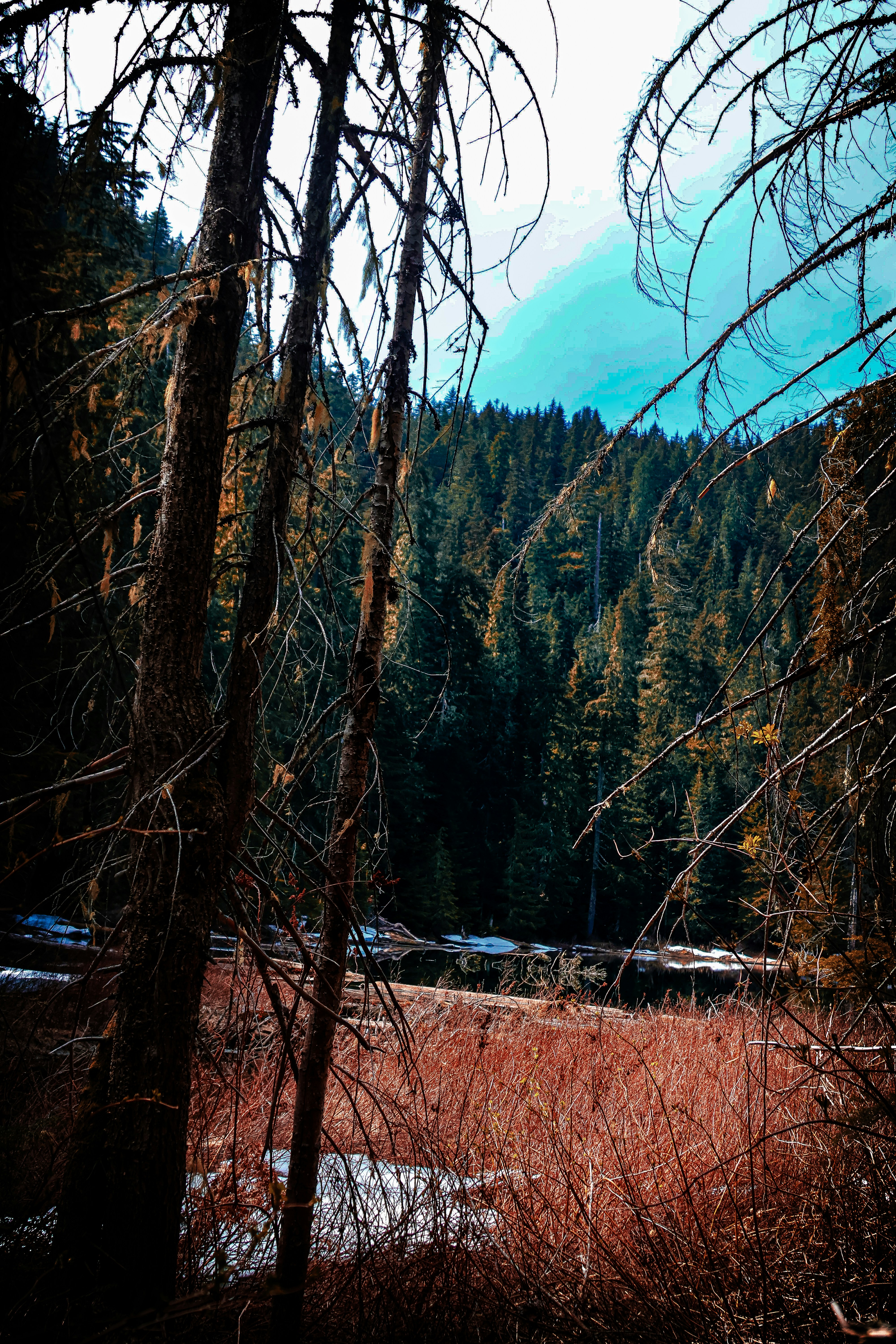 Photo by traveleroohlala