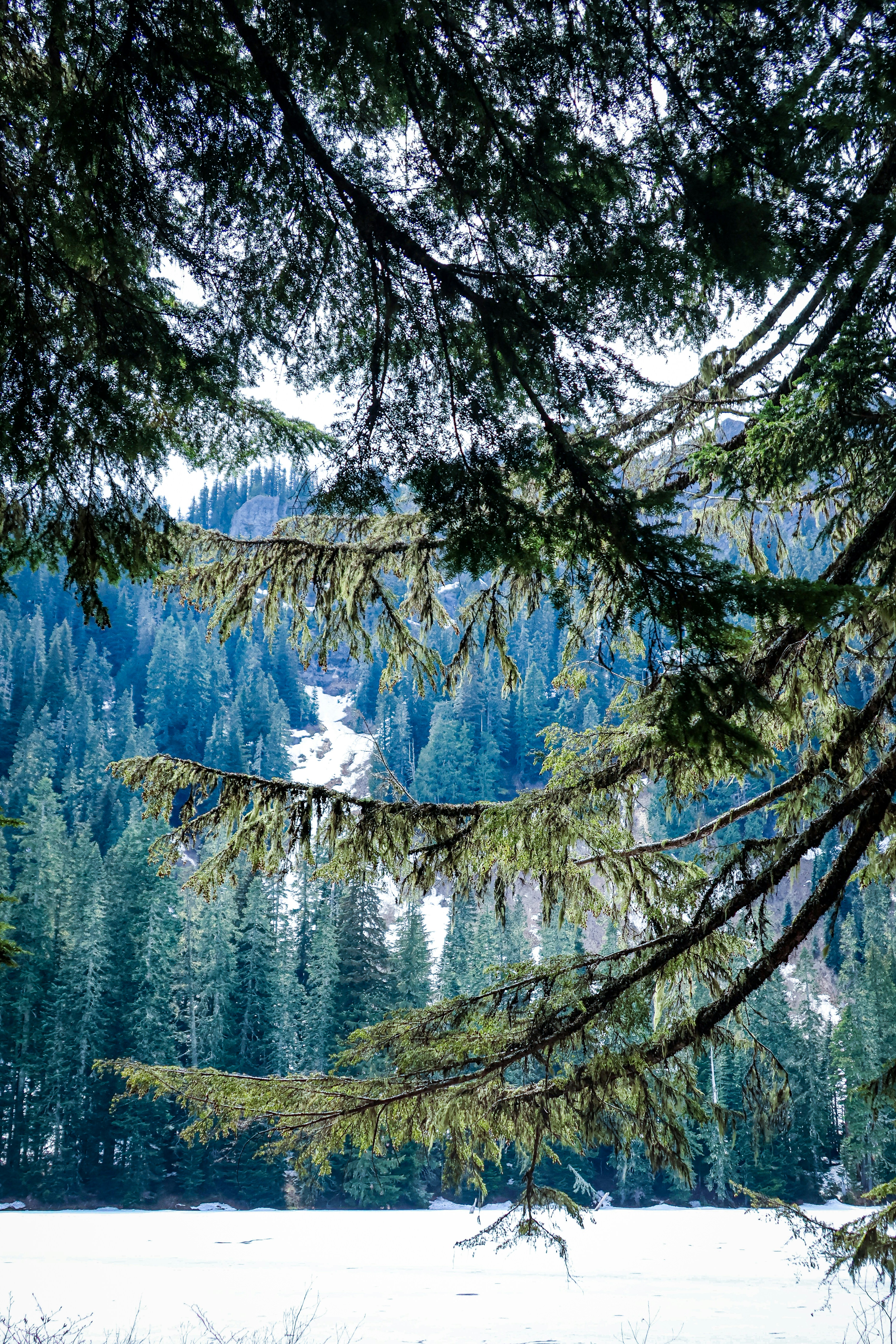 Photo by traveleroohlala