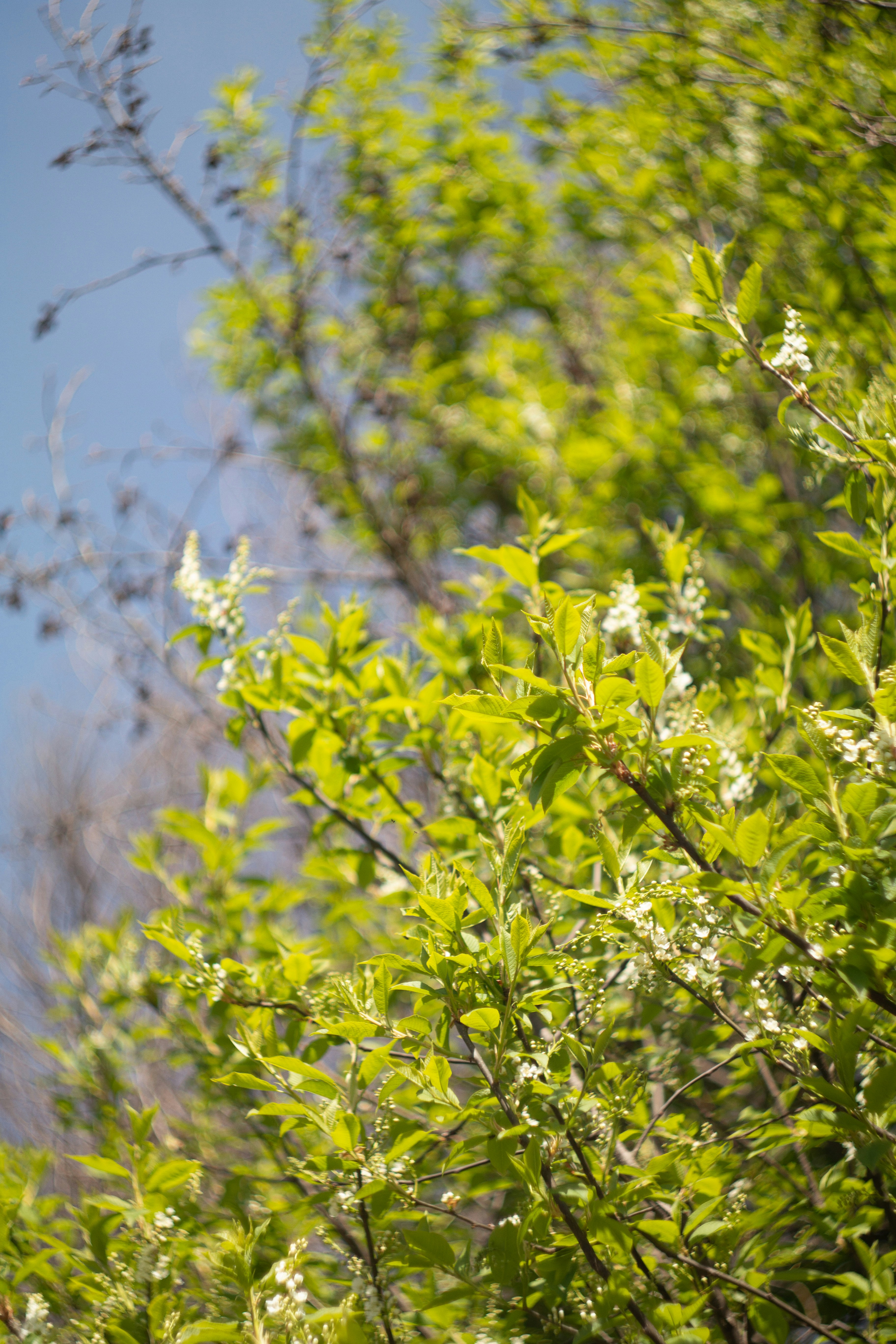 Photo by kuzminklk