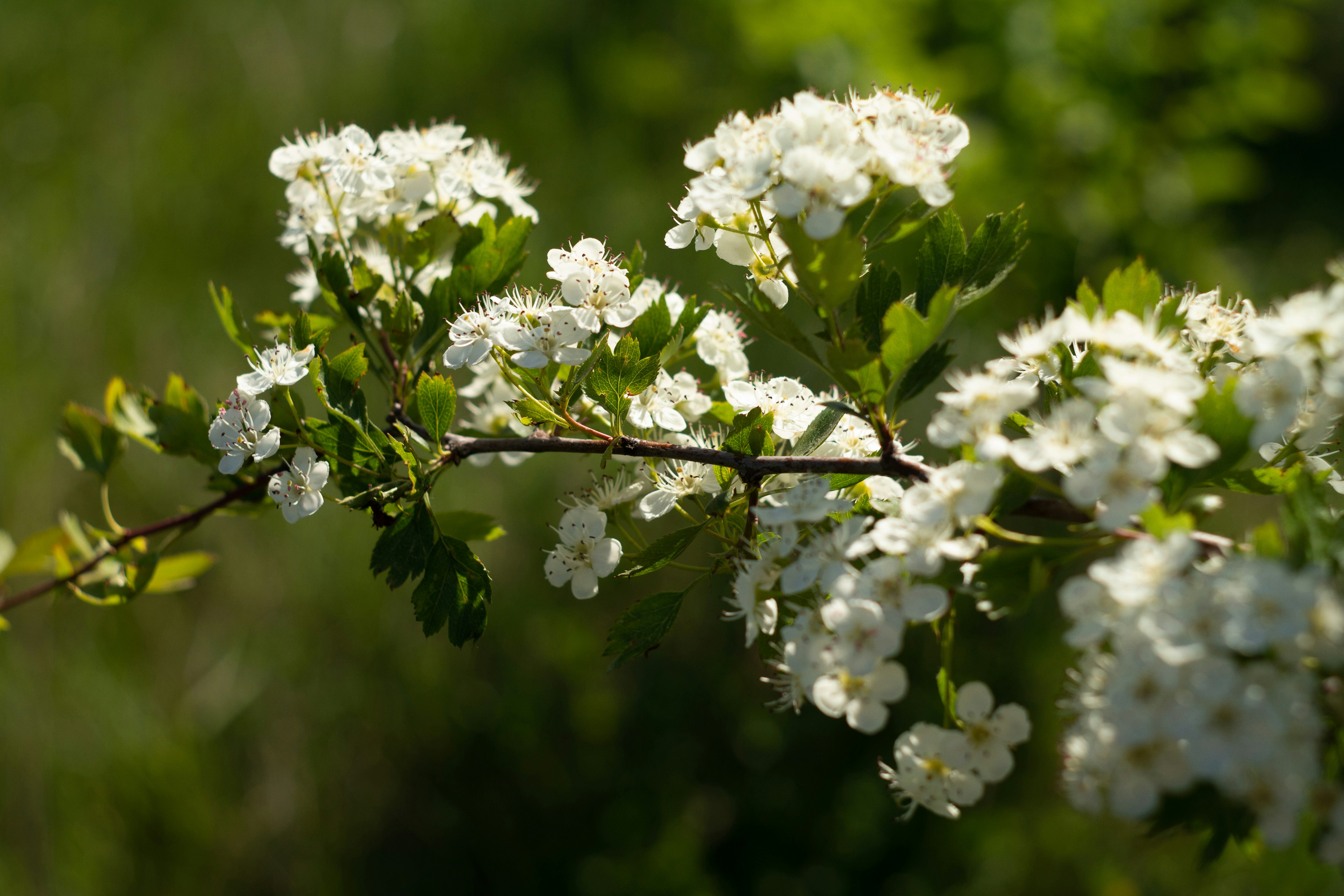 Photo by kuzminklk